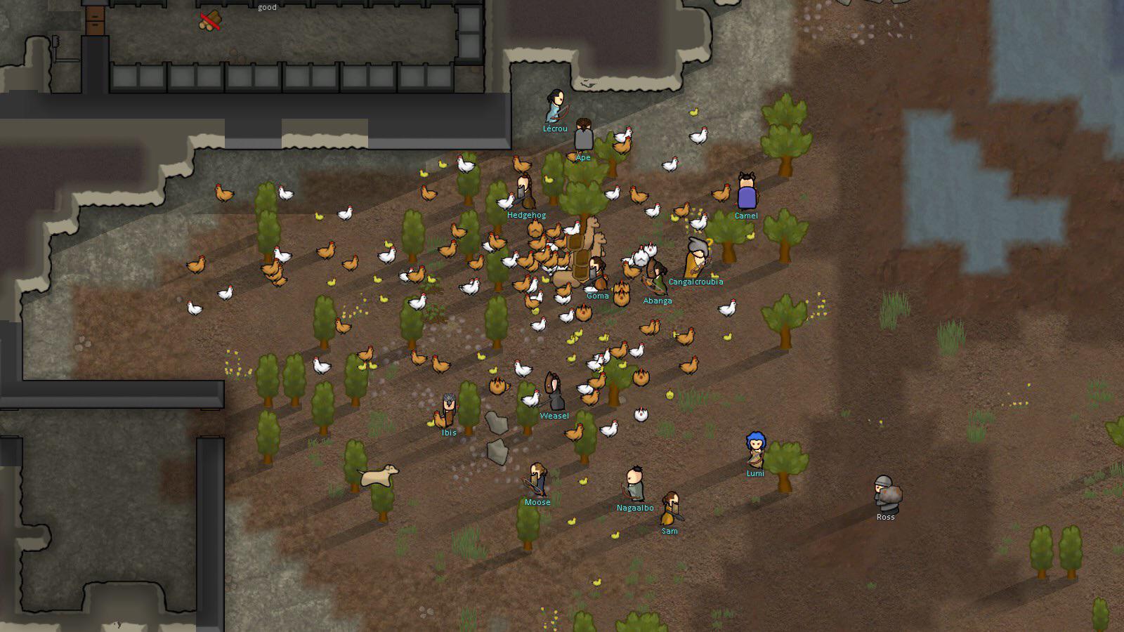 Rimworld breeding chickens