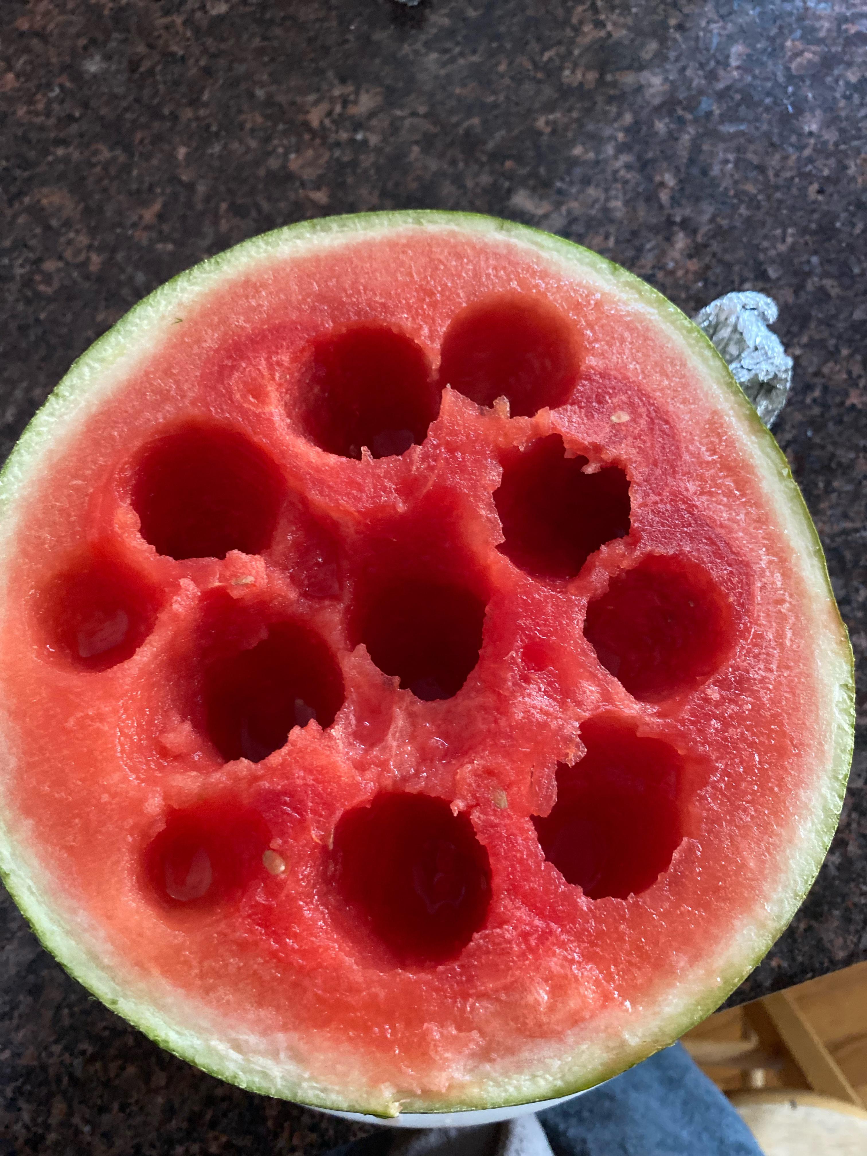 I shit you not this is how like to eat watermelons r/shittyfoodporn