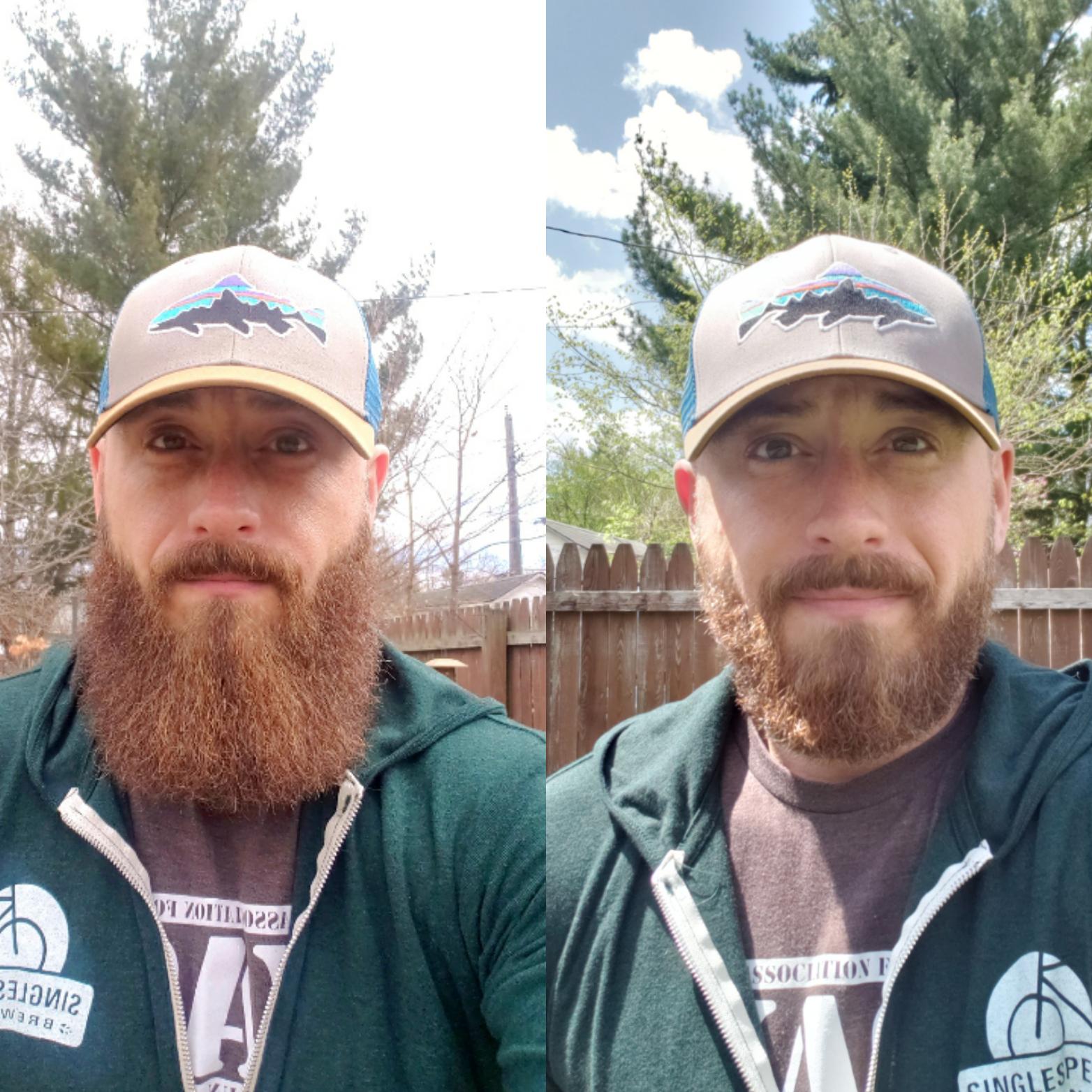 Barber shops are still closed so I gave it a spring trim myself. I