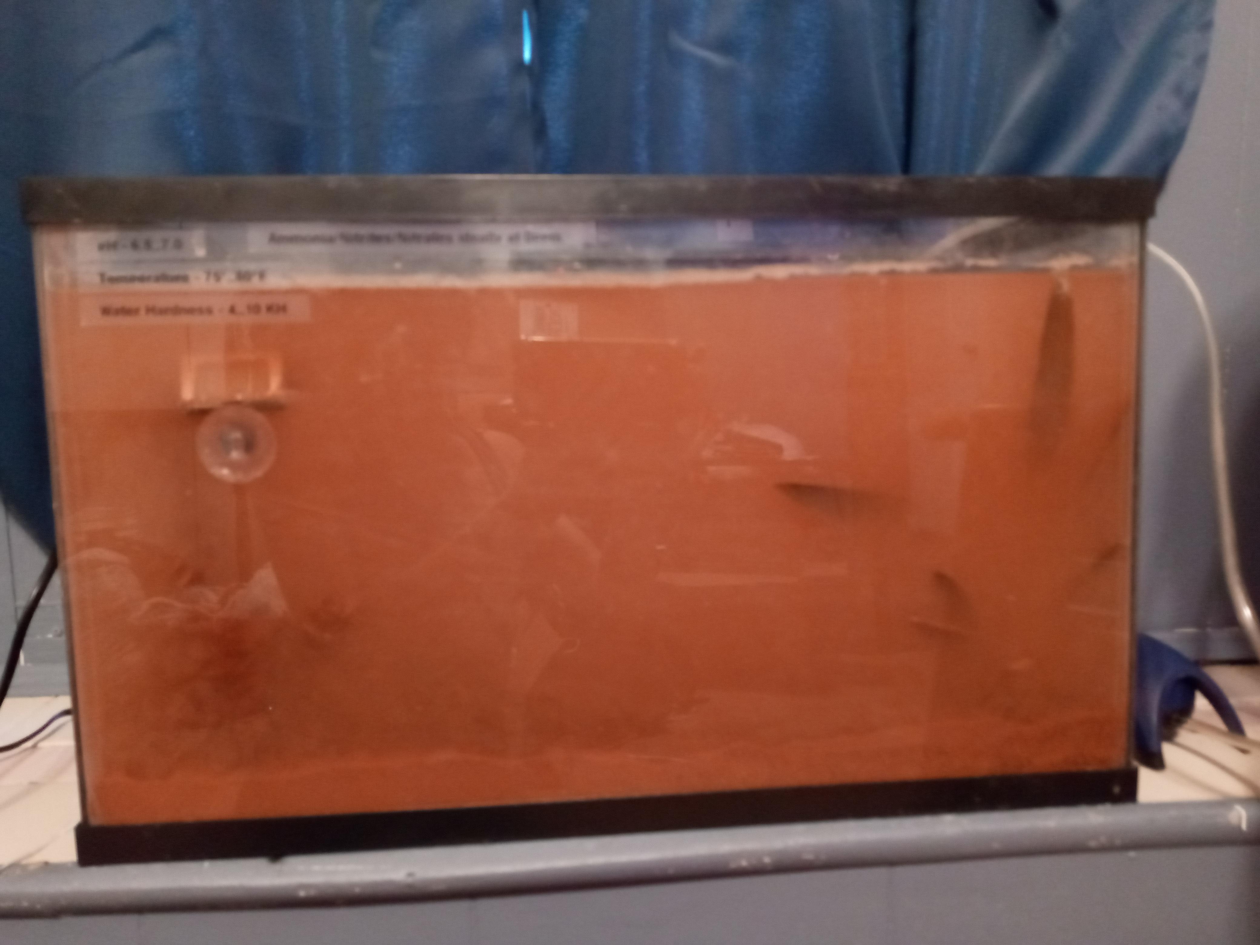 How can I get rid of all this dust from new sand? I rinsed the crap out