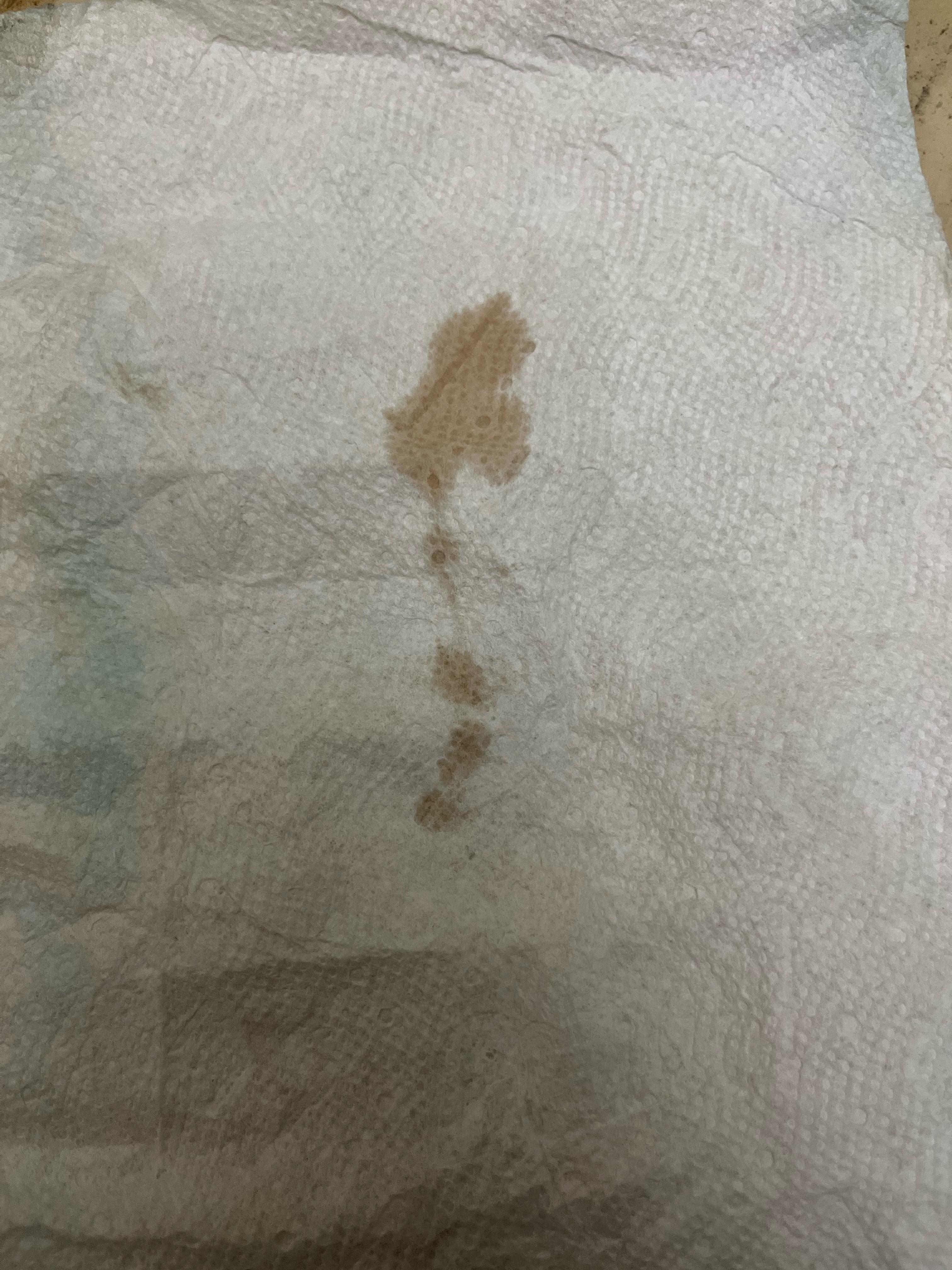 Is my transmission fluid burnt? r/MechanicAdvice