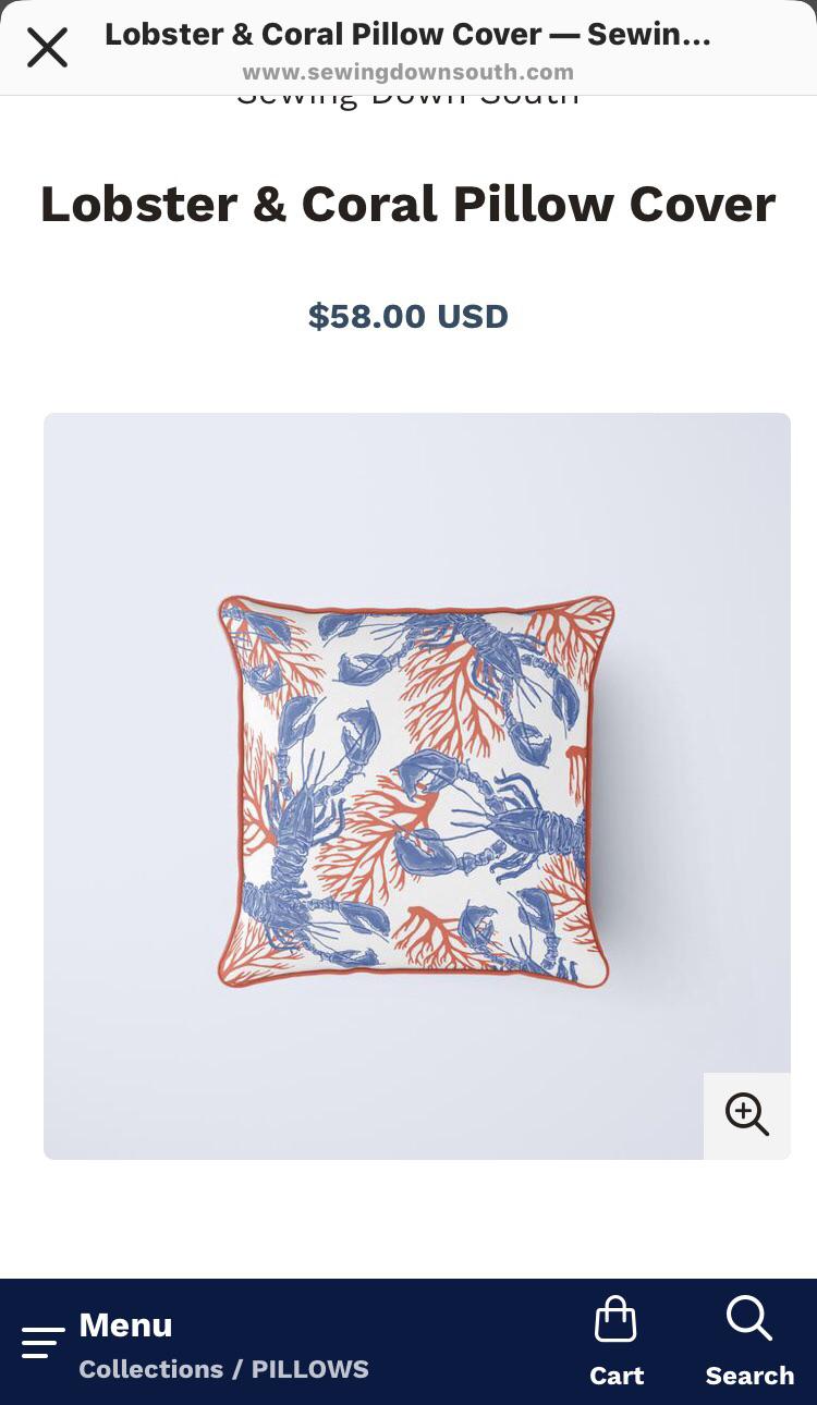 Craig’s pillows are 58... or actually they’re just pillow covers...🤔