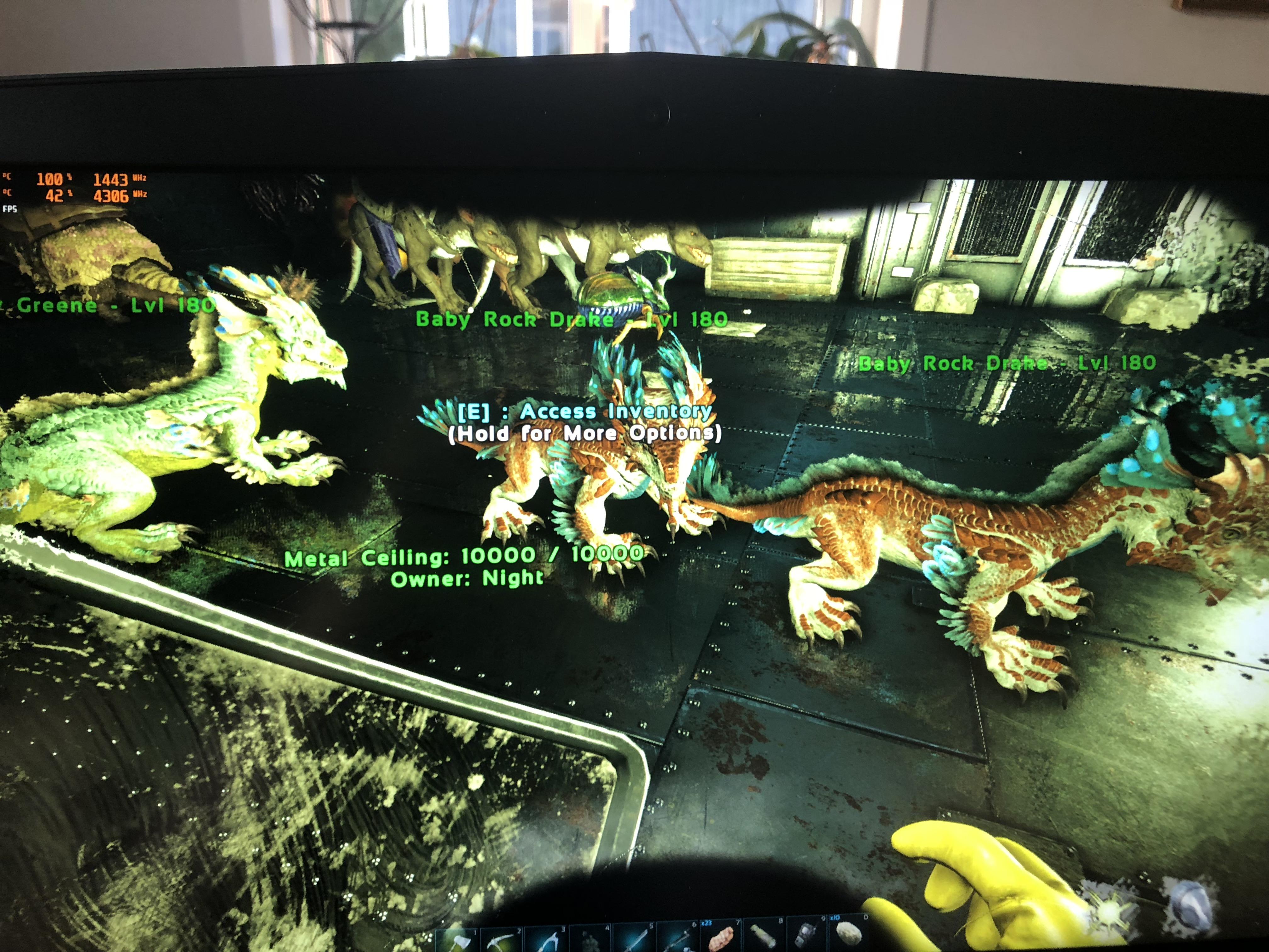 First time ever hatching an egg, got twins. ARK