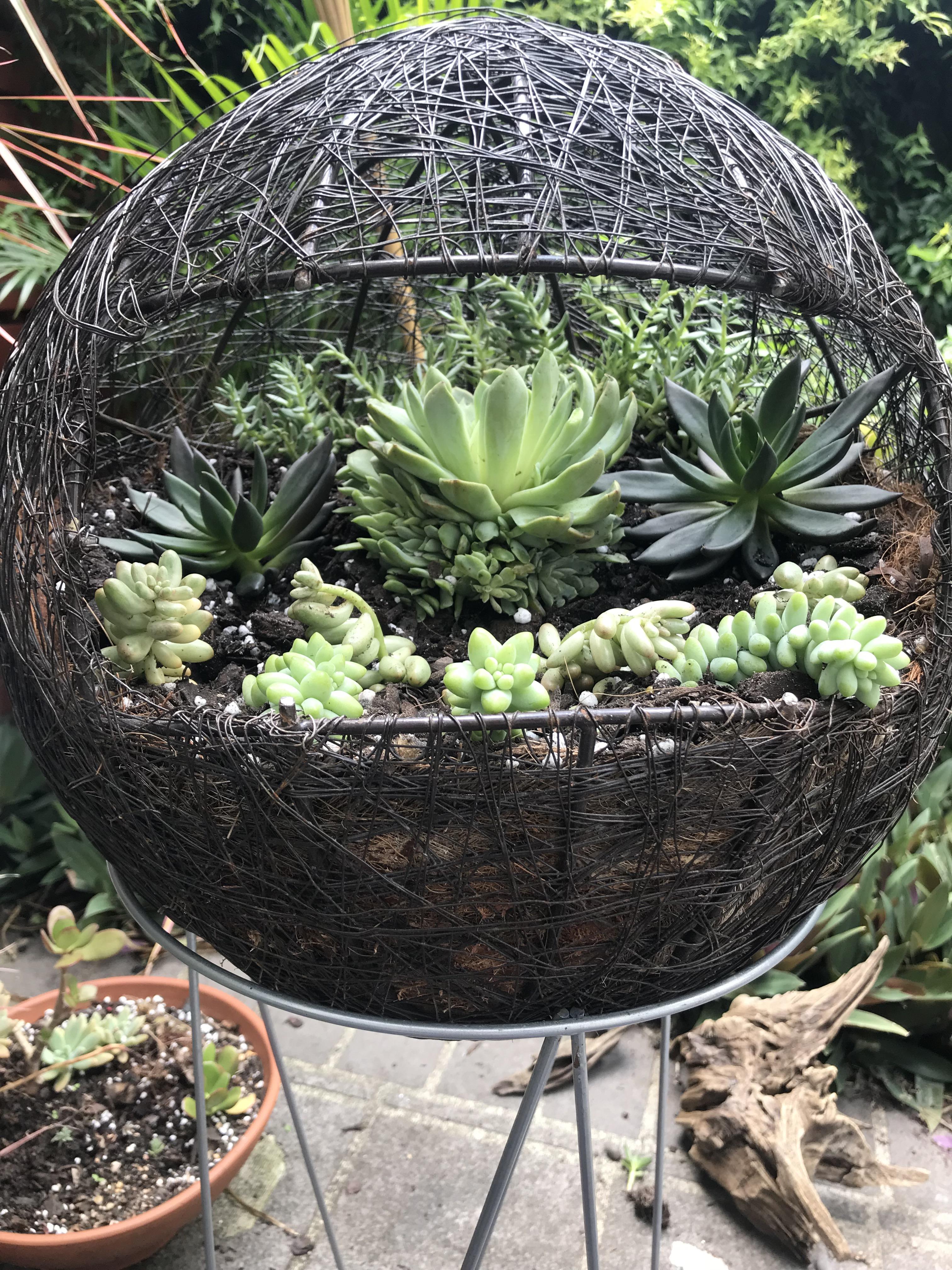 DIY this metal tea light holder into a hanging succulent planter, I’m