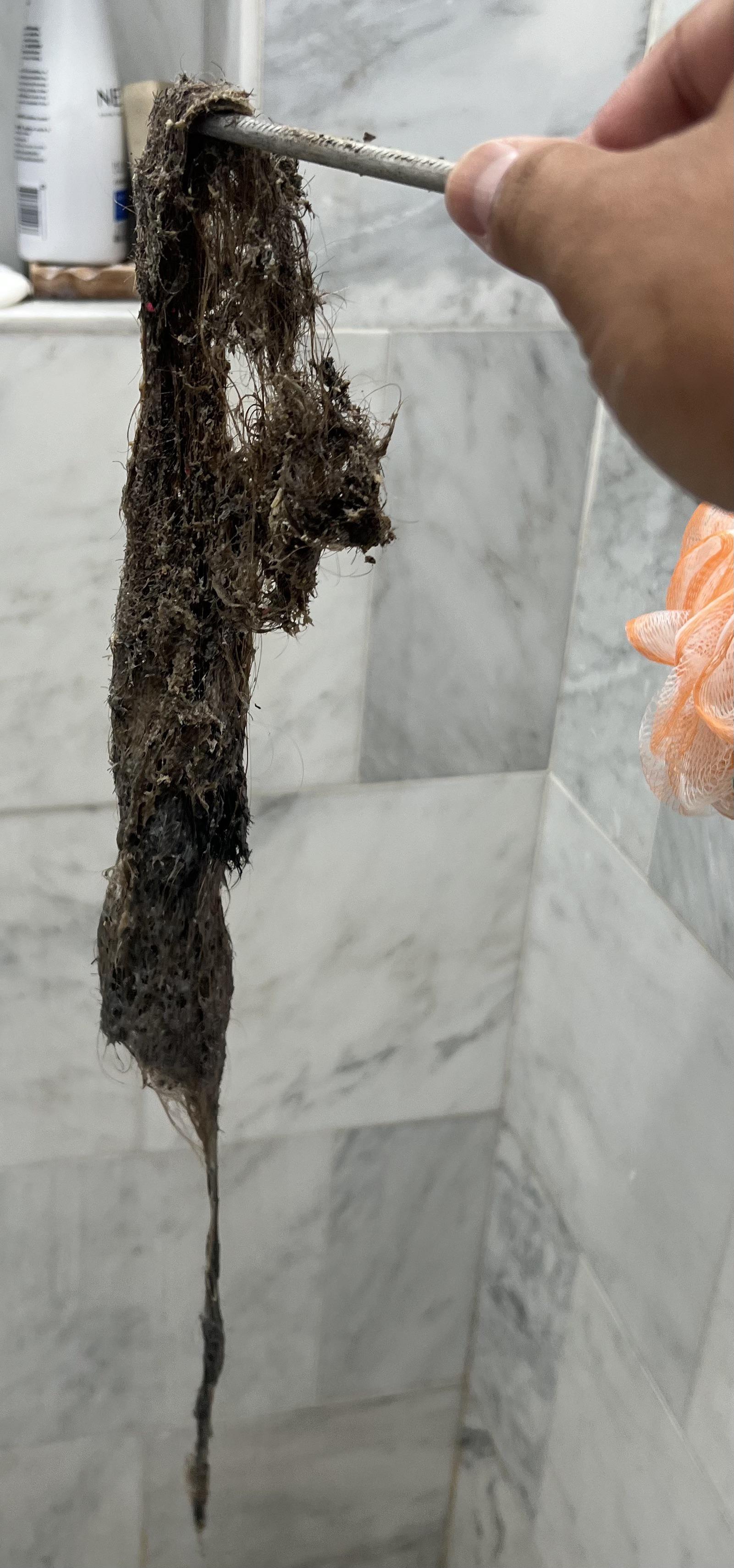 [OC] Pulled this out of my shower drain (nsfl) r/pics