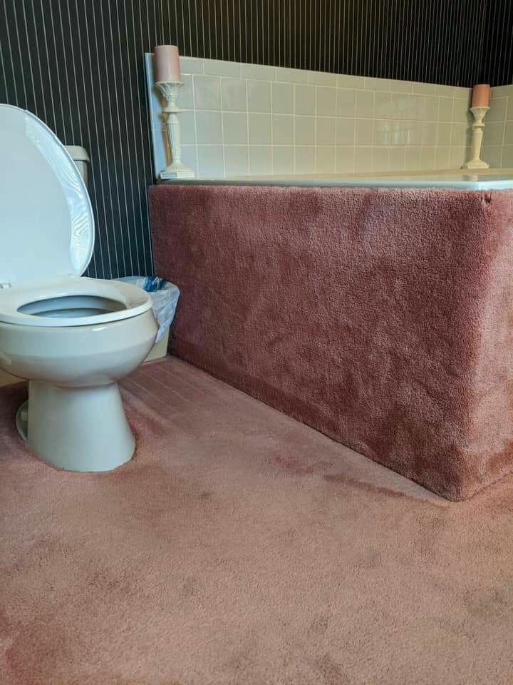 Thanks, I hate this fully carpeted bathroom. r/TIHI