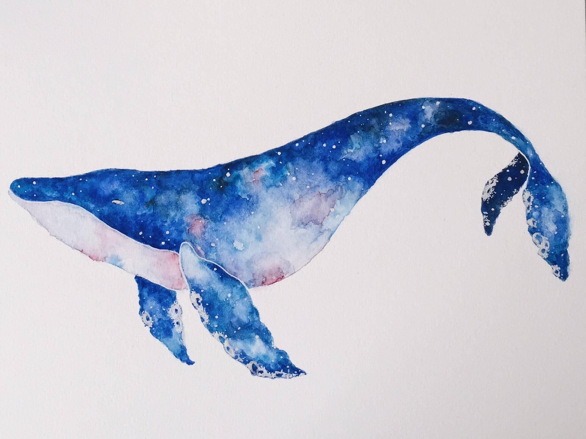 oh whale Watercolor
