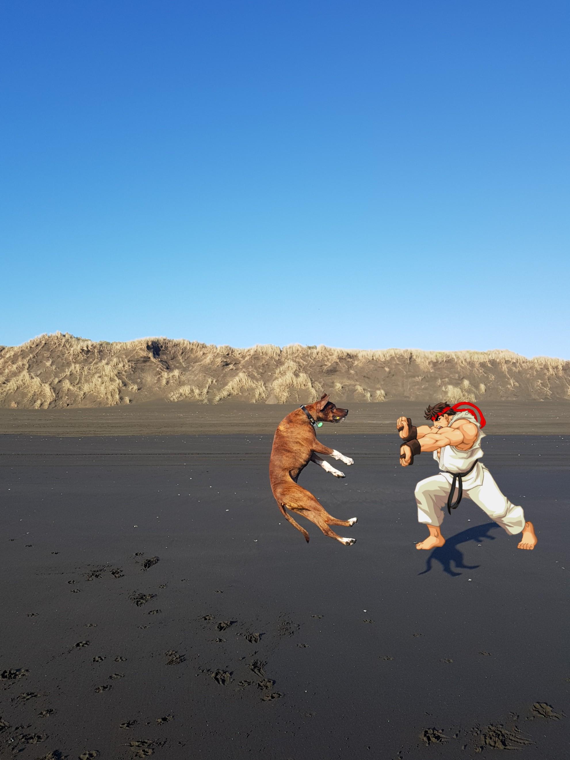 My dog jumps wierd, so this seems to fit r/StreetFighter