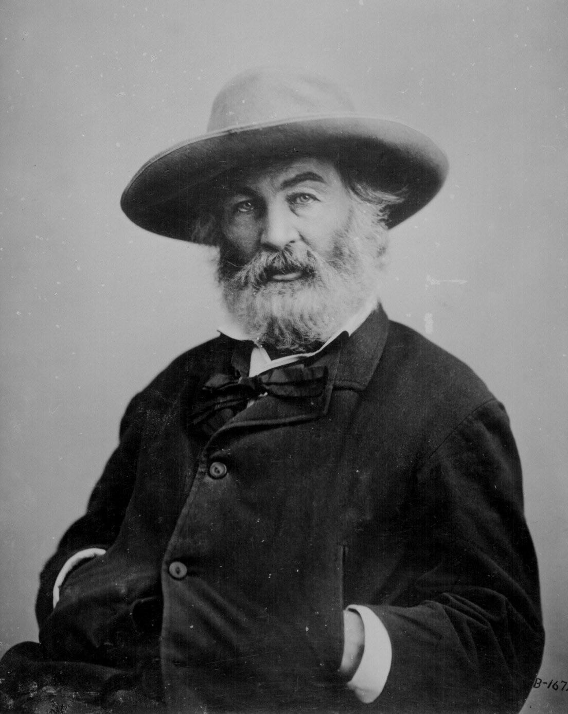 Walt Whitman circa 1860 r/OldSchoolCool
