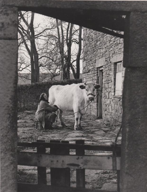 Hannah Hauxwell at her remote farmhouse Low Birk Hatt in Baldersdale