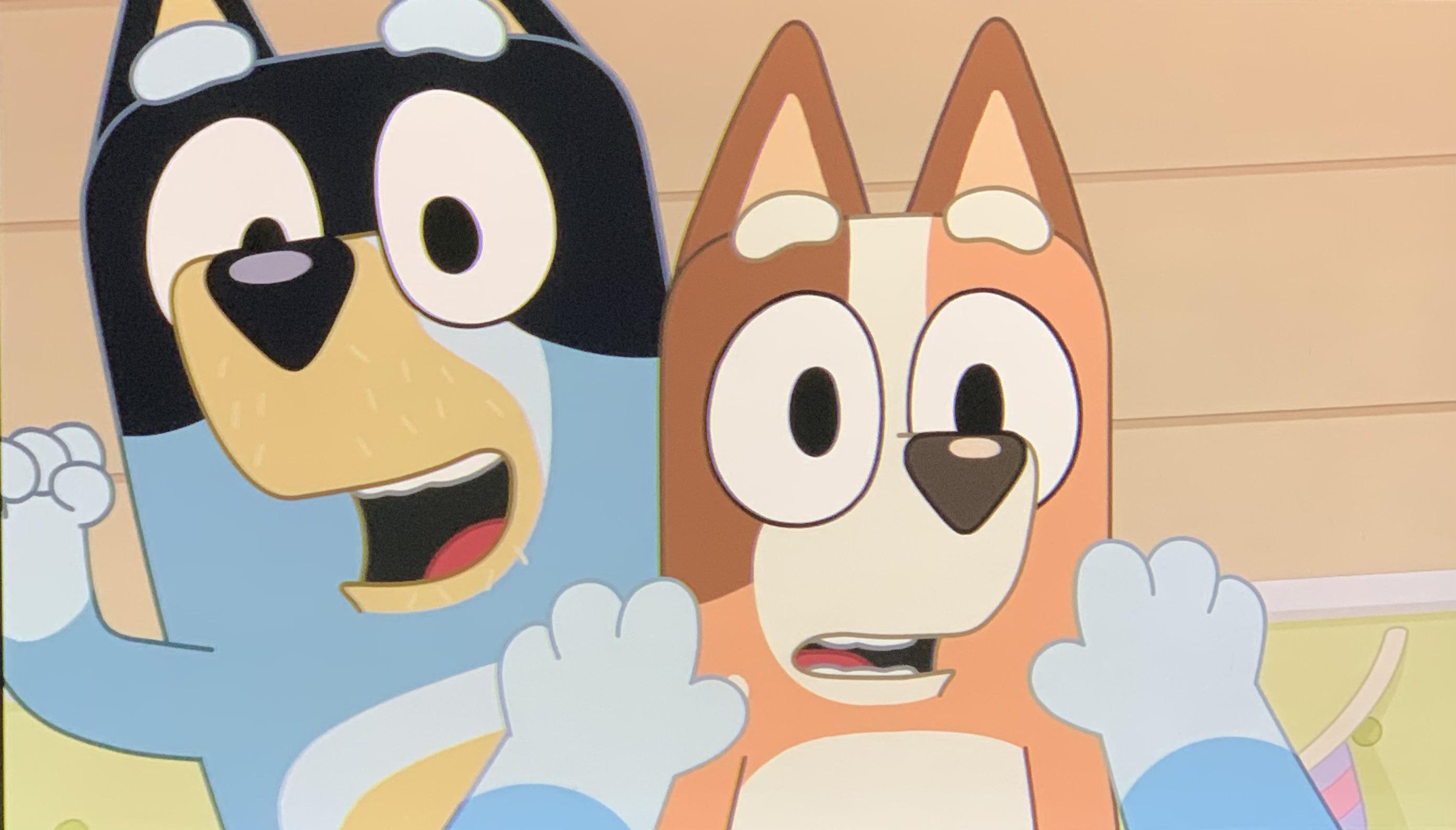 Take a look at bandit and chilli! They are noticeably younger in the