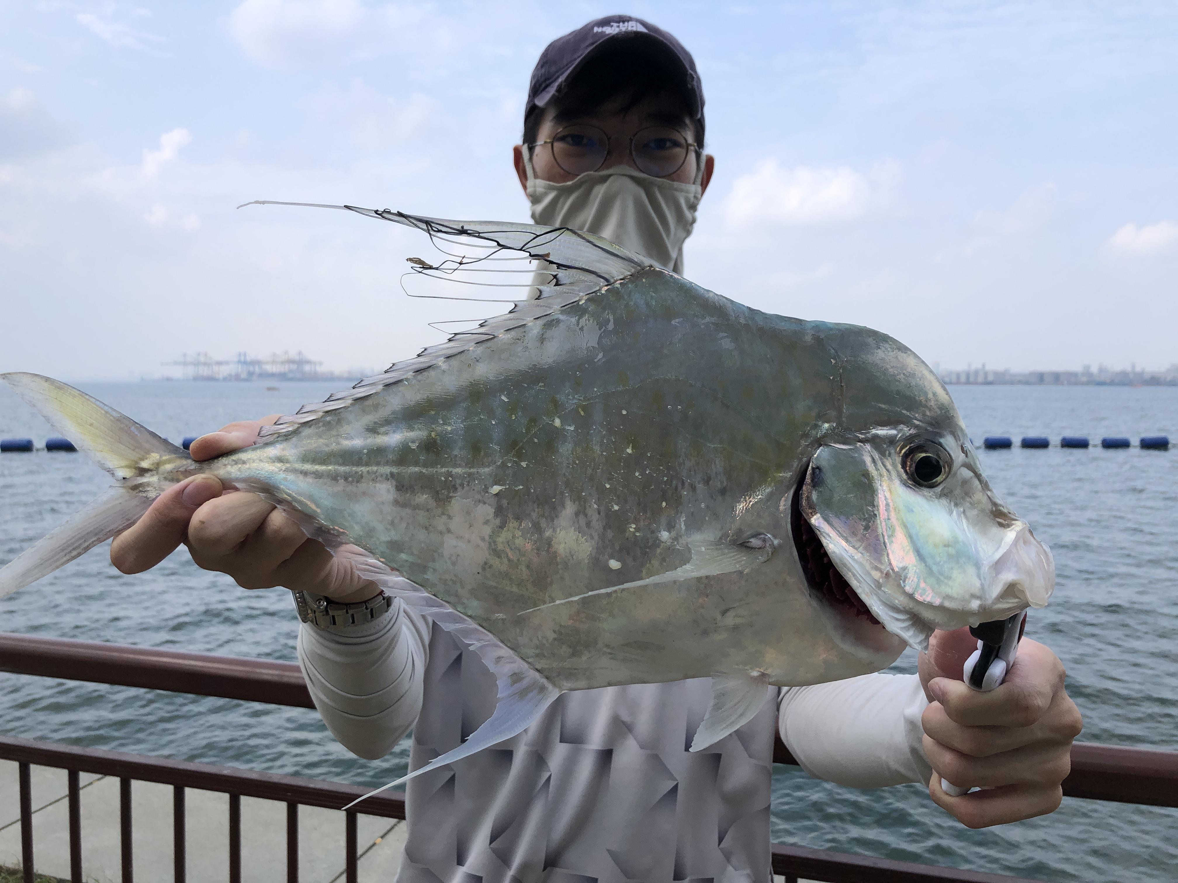 Diamond Trevally + Australia Bushfire Donation Fishing Challenge r