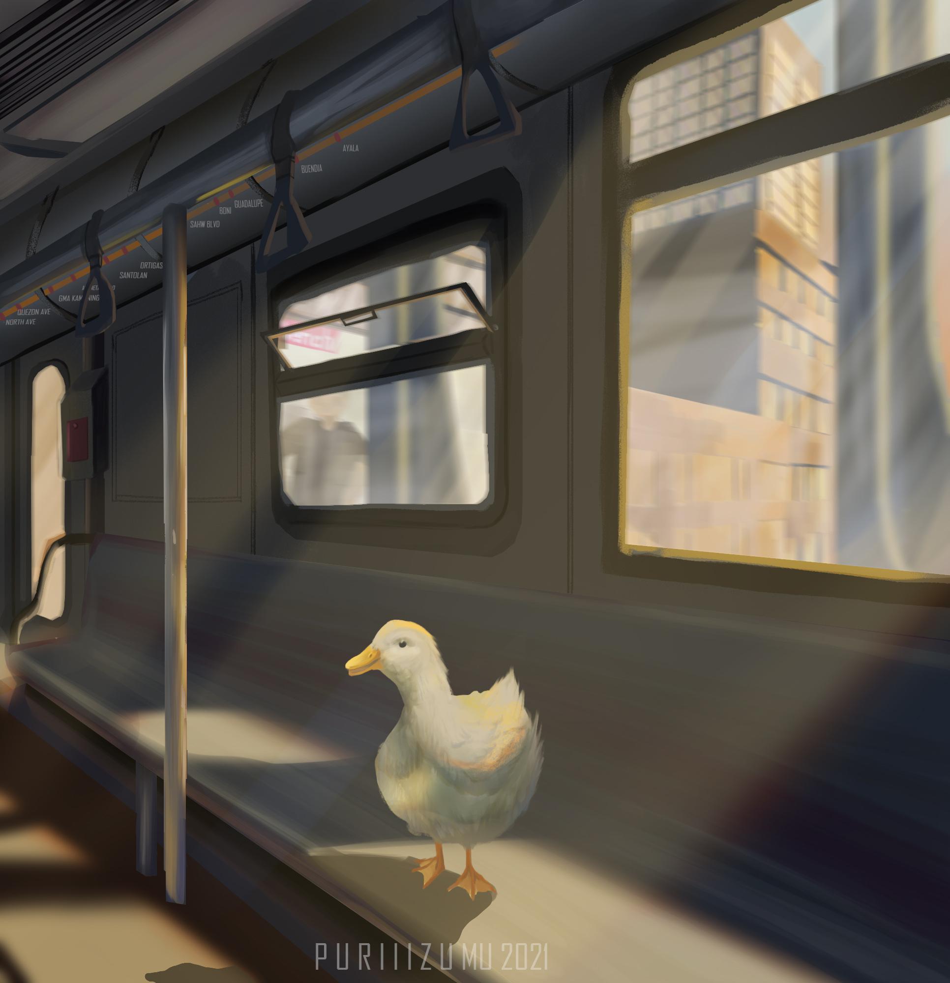 Duck Train