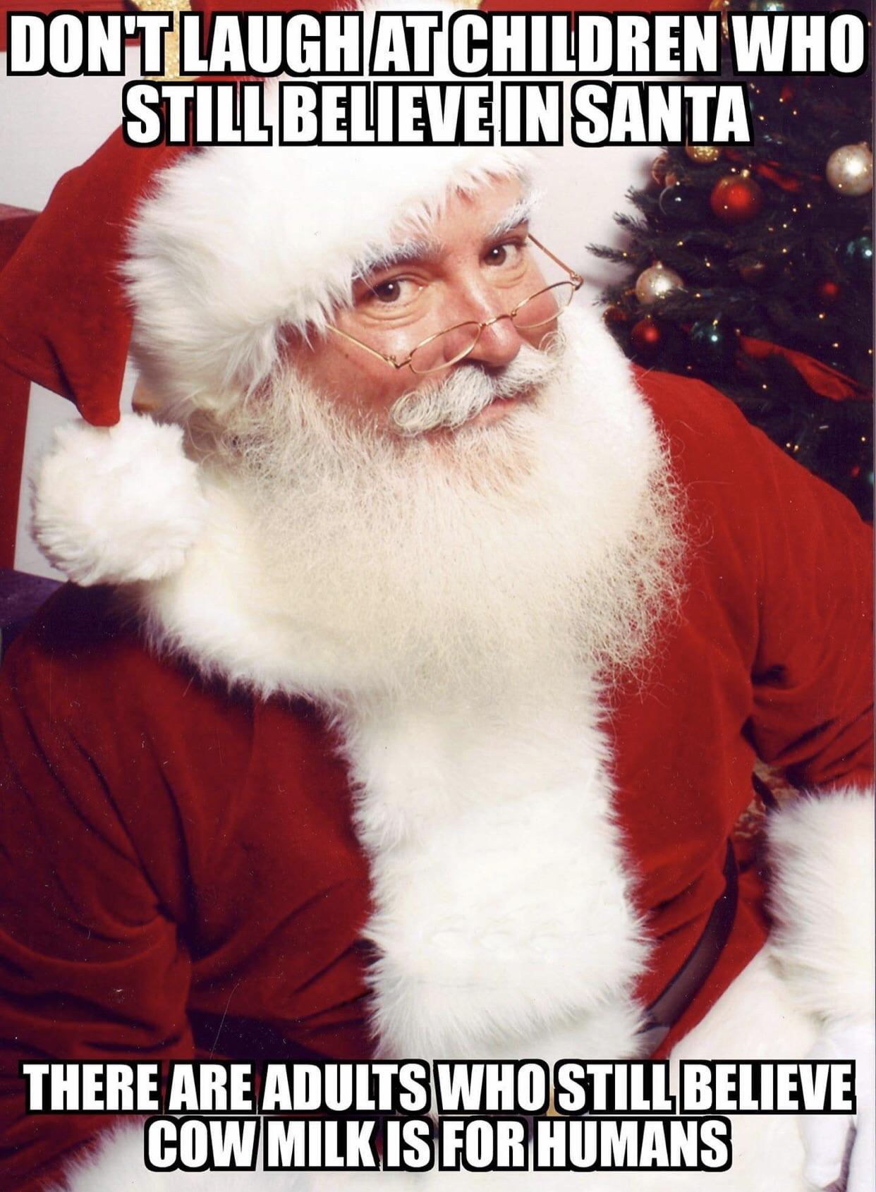 6 best u/1000milesunderwater images on Pholder Raccoons, Lifehacks