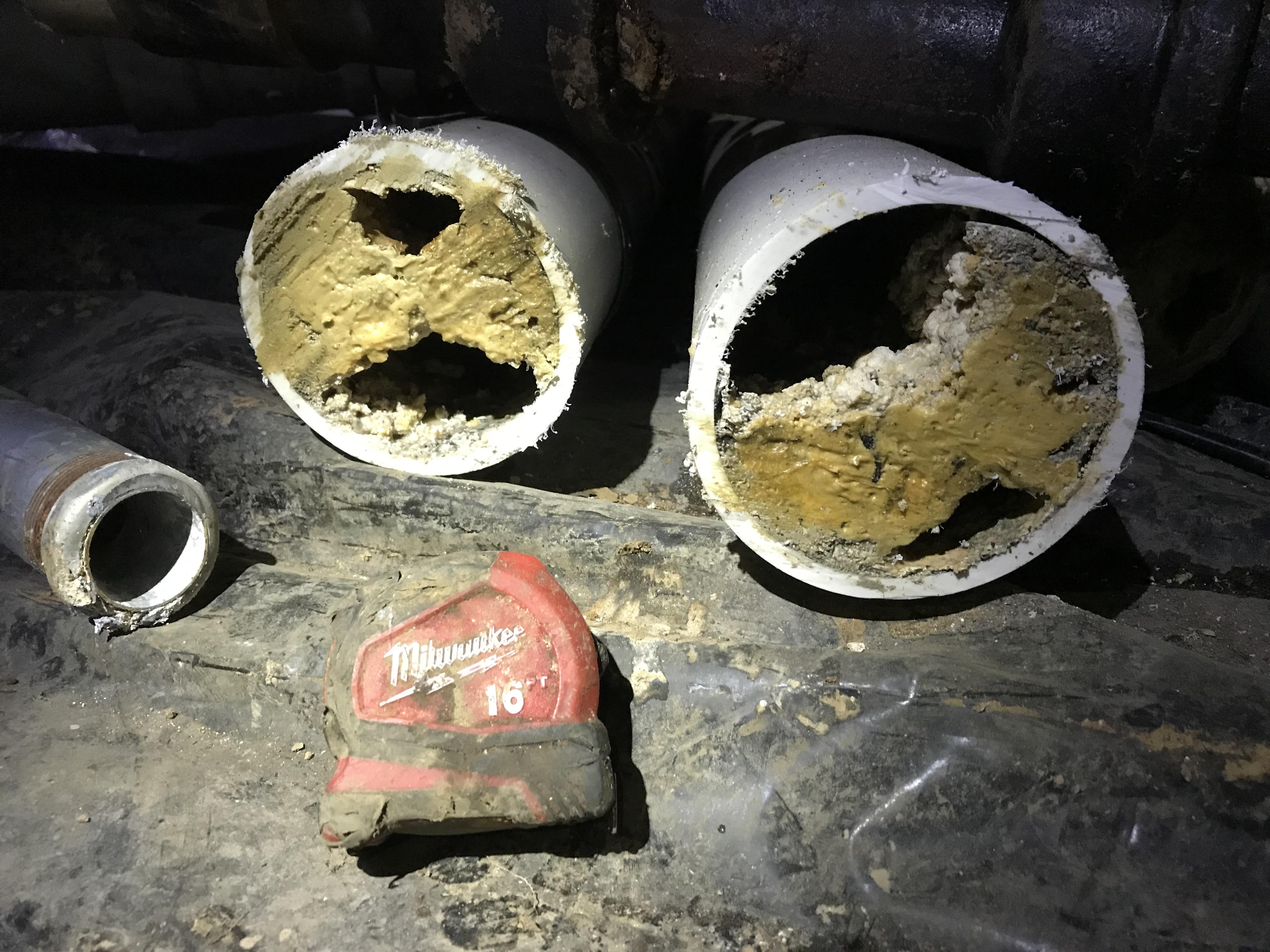 This clogged up 4” pvc drain pipe r/mildlyinteresting