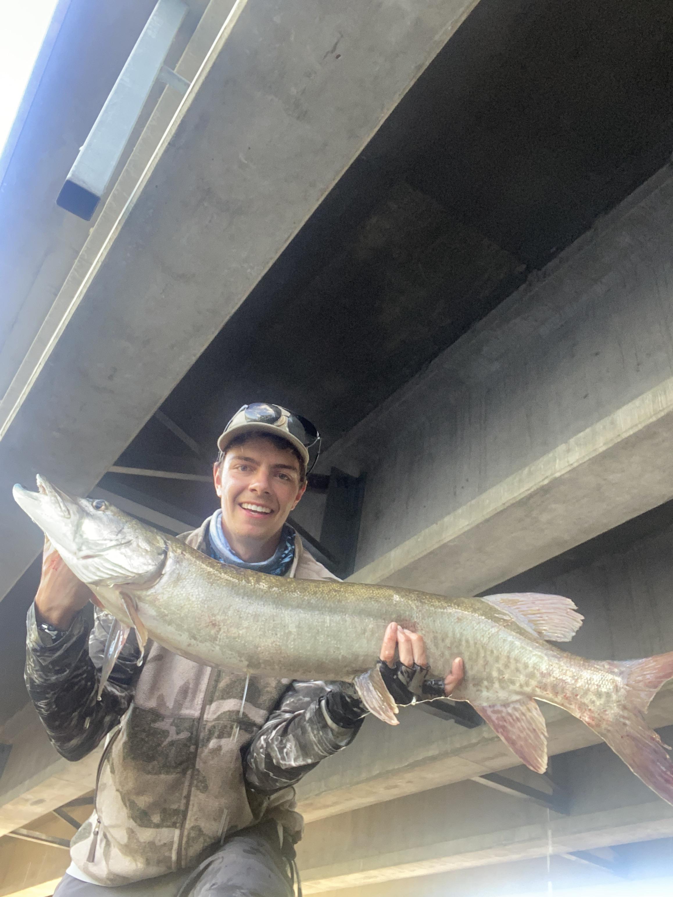Caught my PB freshwater fish today and biggest muskie from shore while walleye fishing (43.5