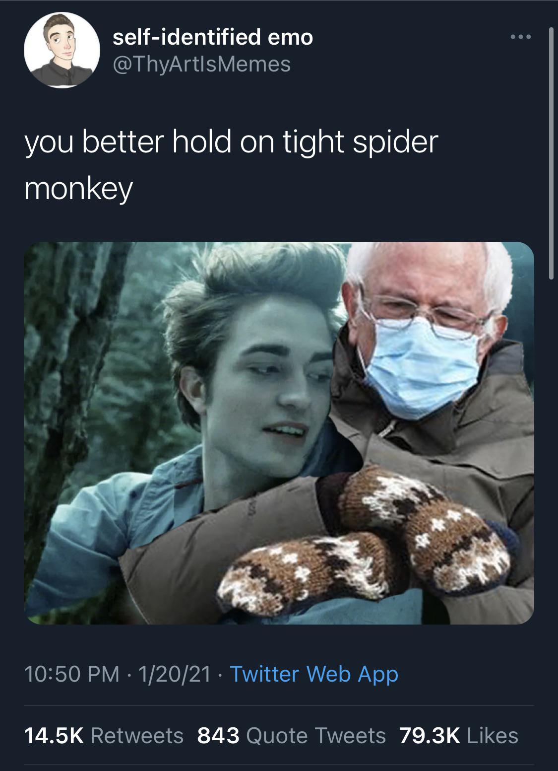Okay one more Bernie meme r/twilight