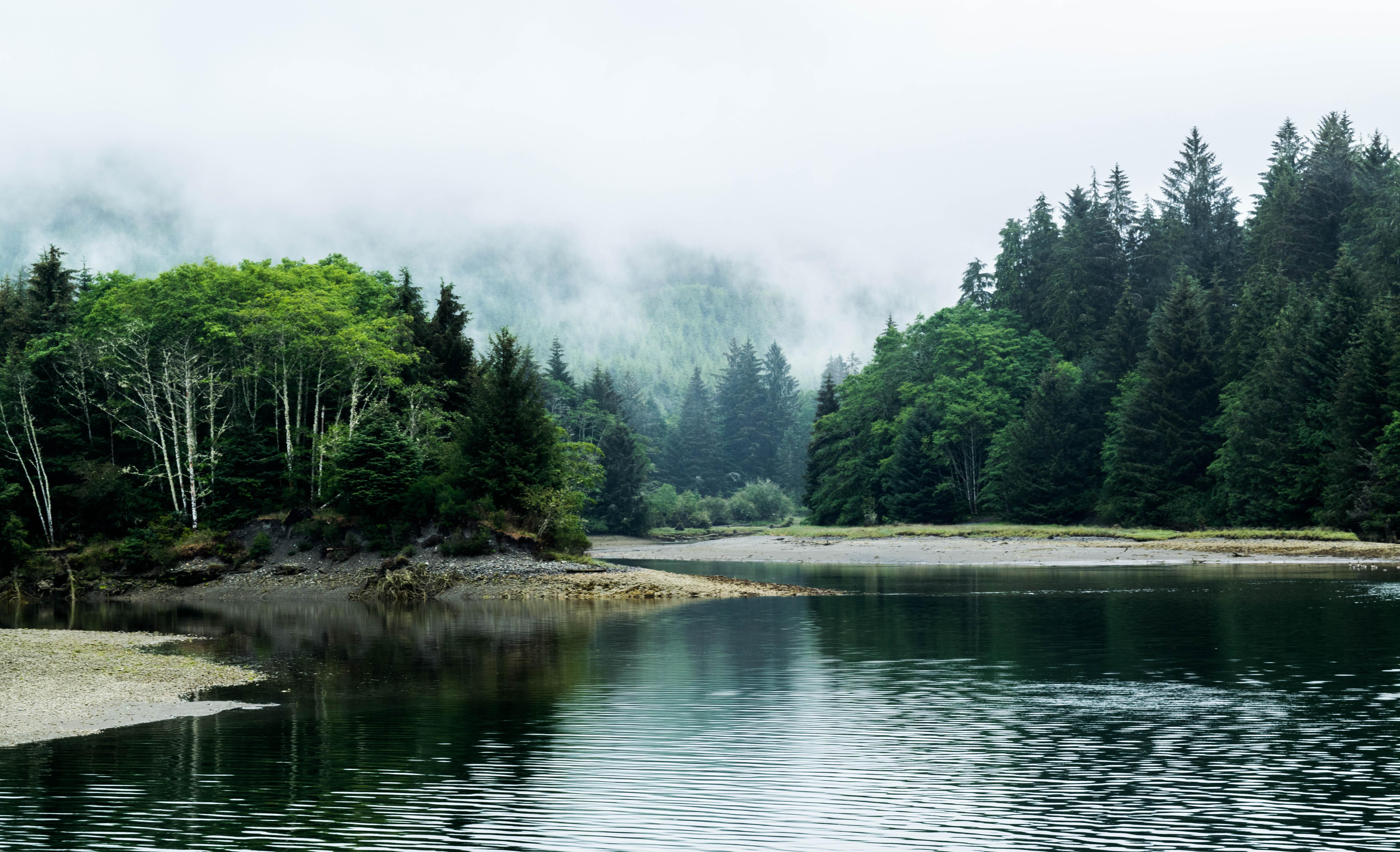Expose Nature West Coast Trailhead, Pacific Rim National Park [OC