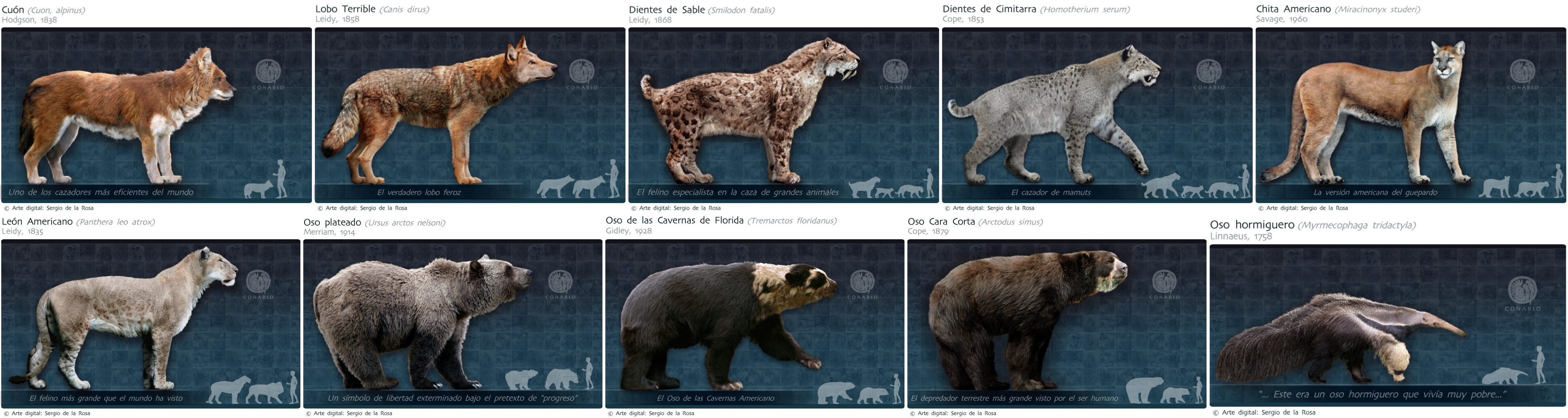 Extinct carnivorous megafauna of Mexico during the Late Pleistocene