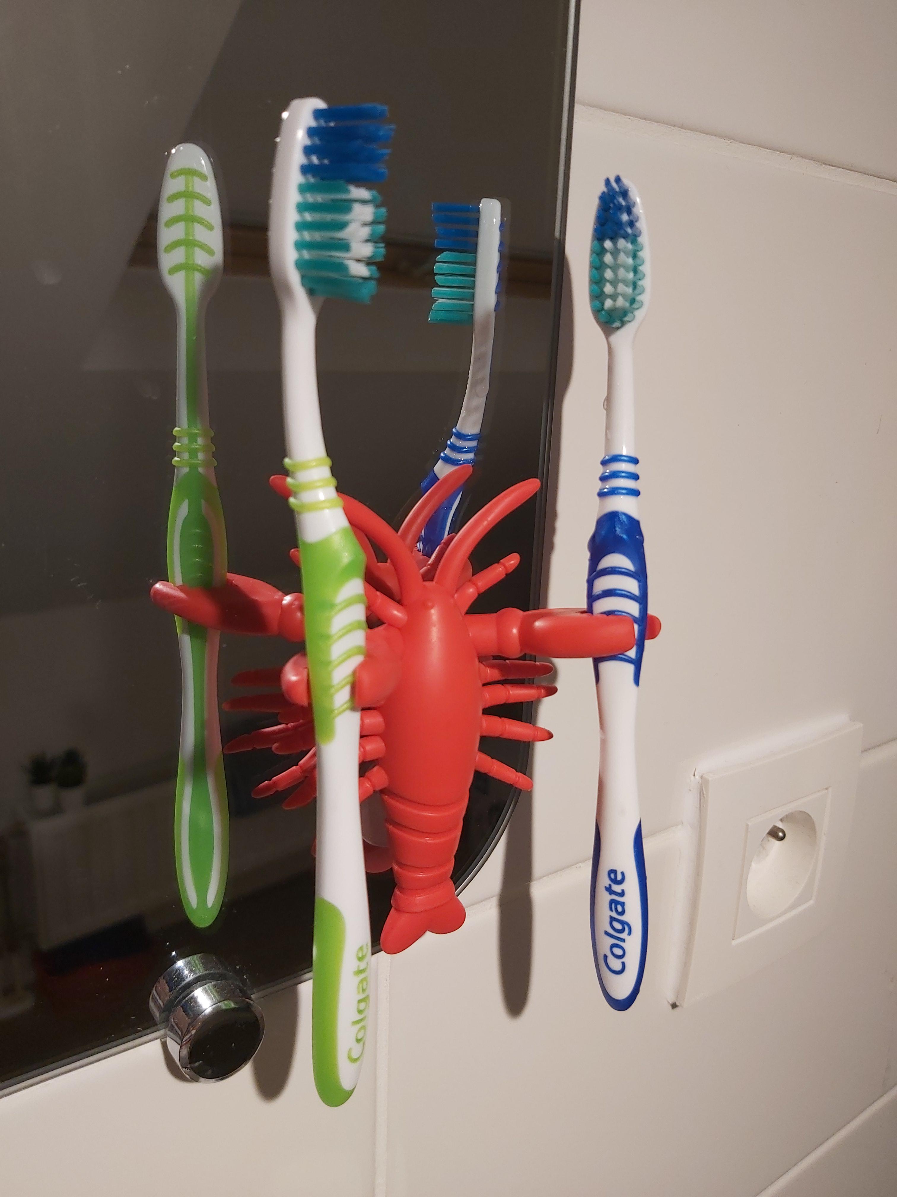 This cool new toothbrush holder I got, thought it might belonged here