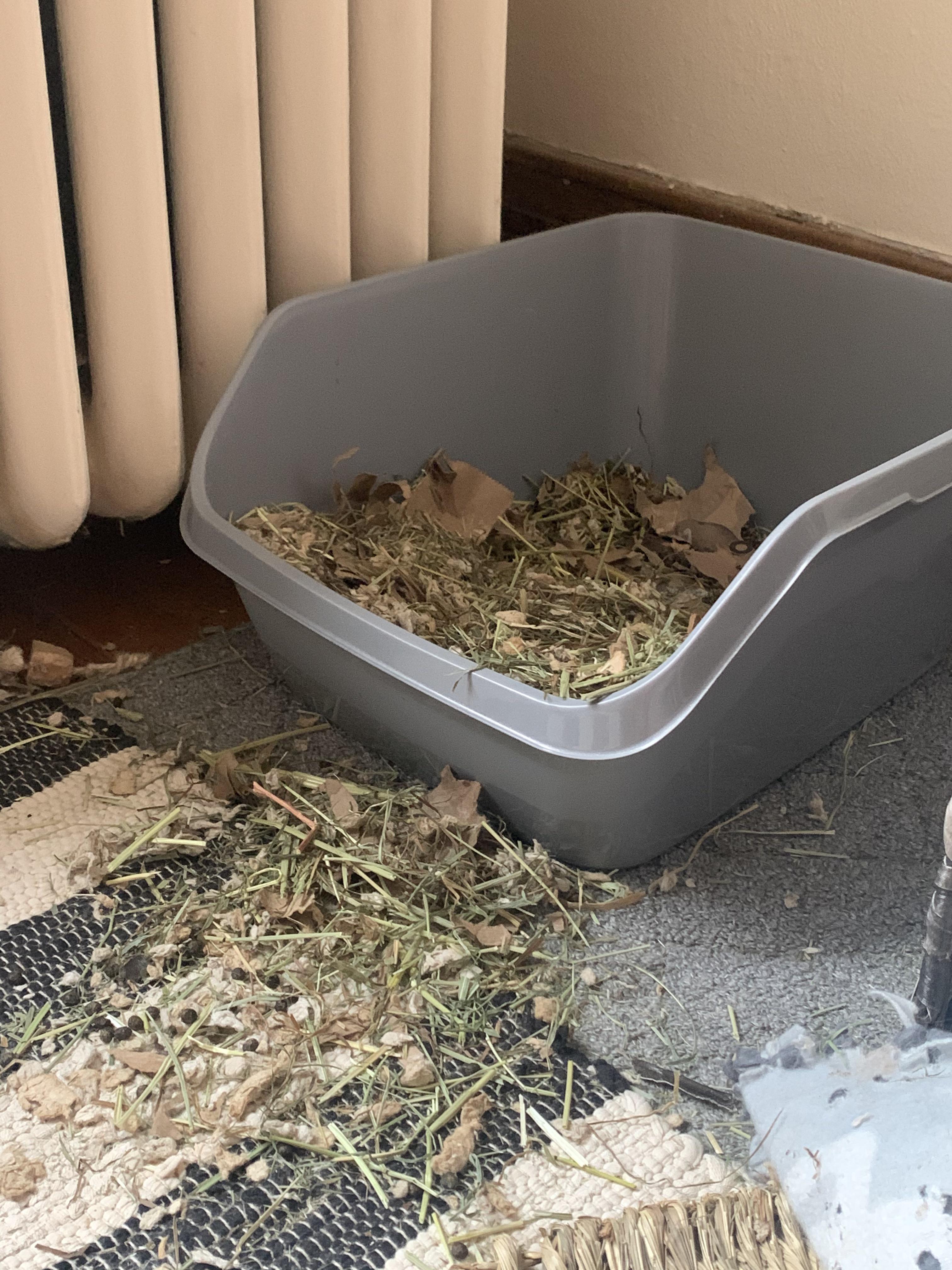 Any ideas/hacks for making a messproof litter pan? She does this every