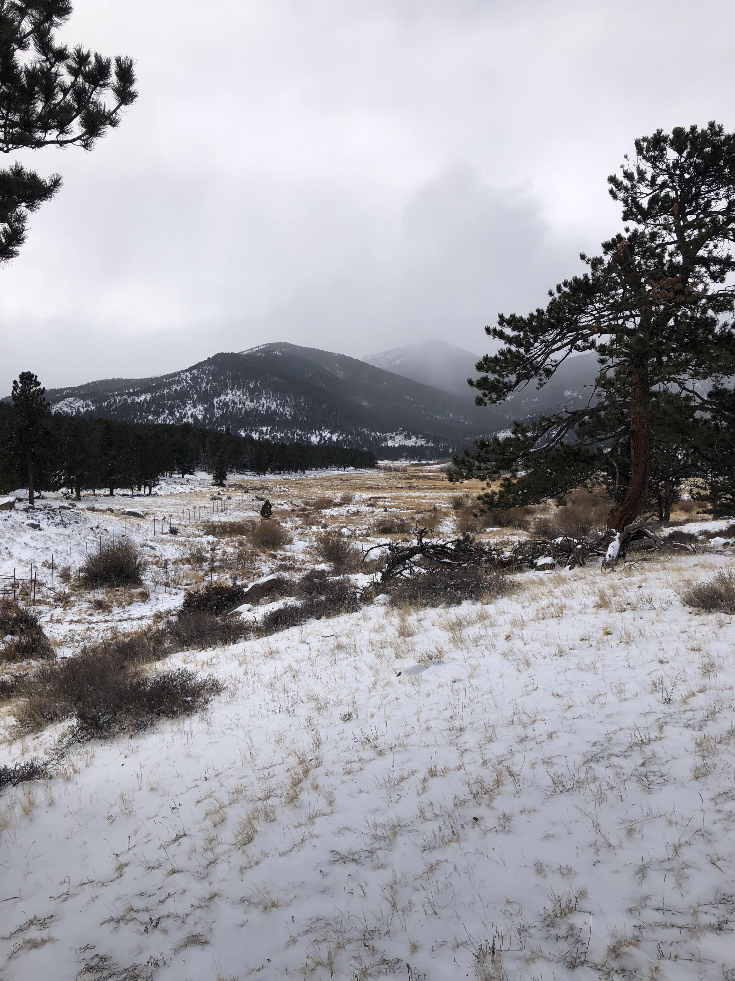 Rocky Mountain National Park Upper Beaver Meadows Rd. r/CampingandHiking