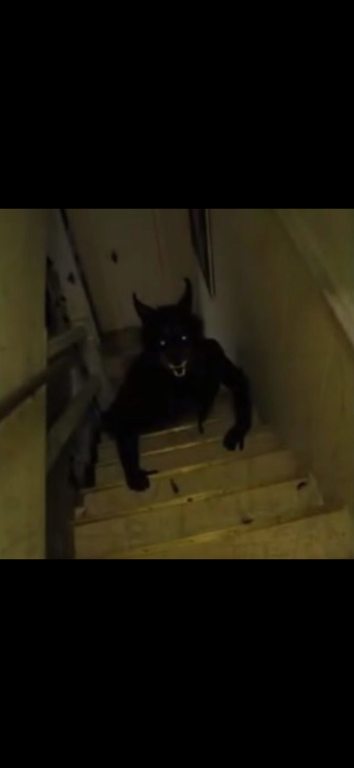 Here's the dog/human that terrified me Horror_stories