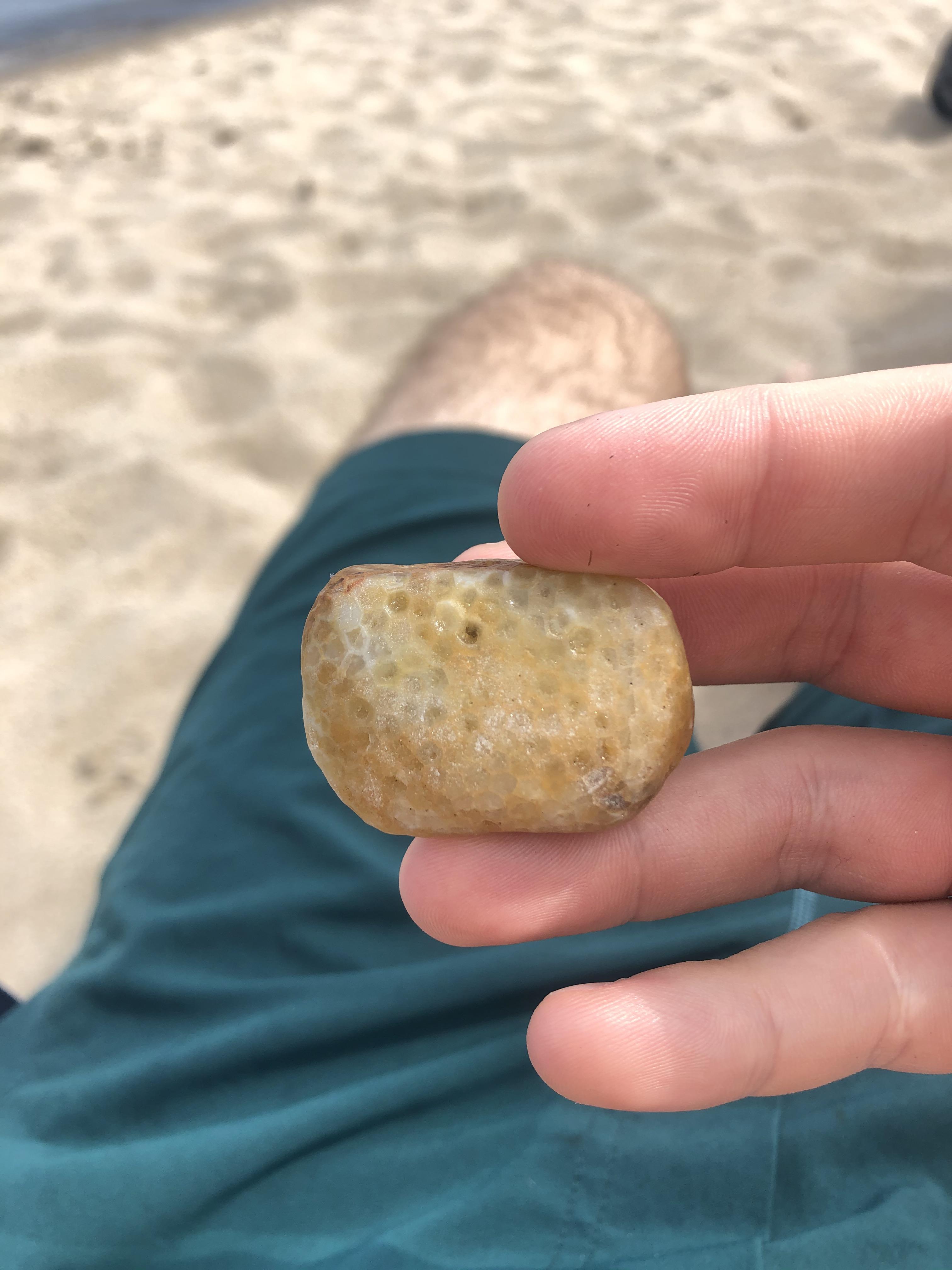 Found this in Lake Michigan. It looks like it’s honey combed all the way through. Anyone have an
