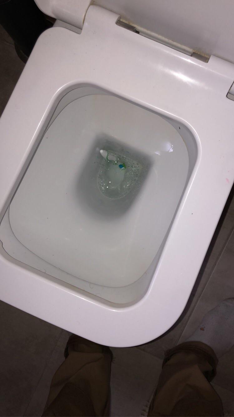Dropped my toothbrush in the toilet r/Wellthatsucks