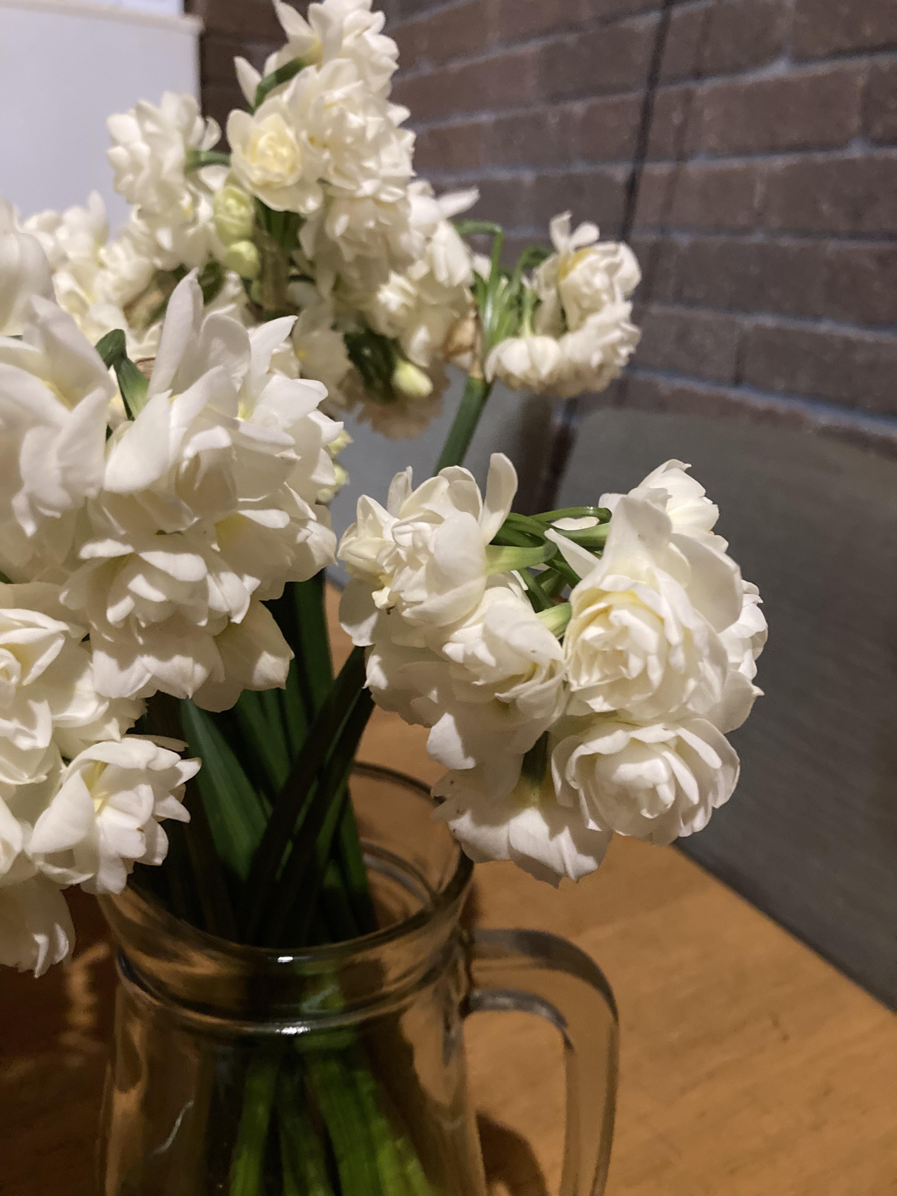 What is this nice smelling white flower? r/flowers