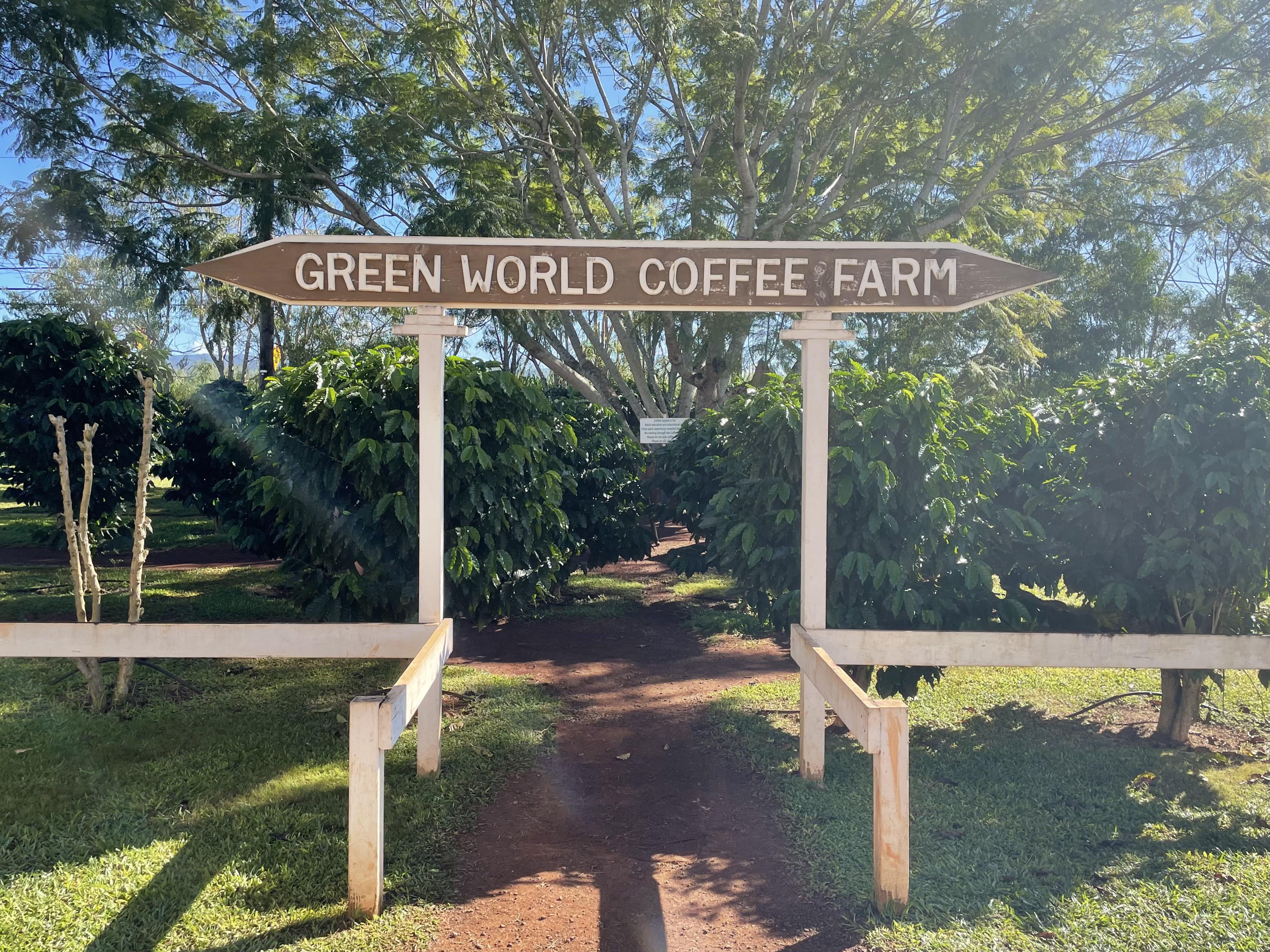 Visited Green World coffee farm in Wahiawa, Oahu today. roasting