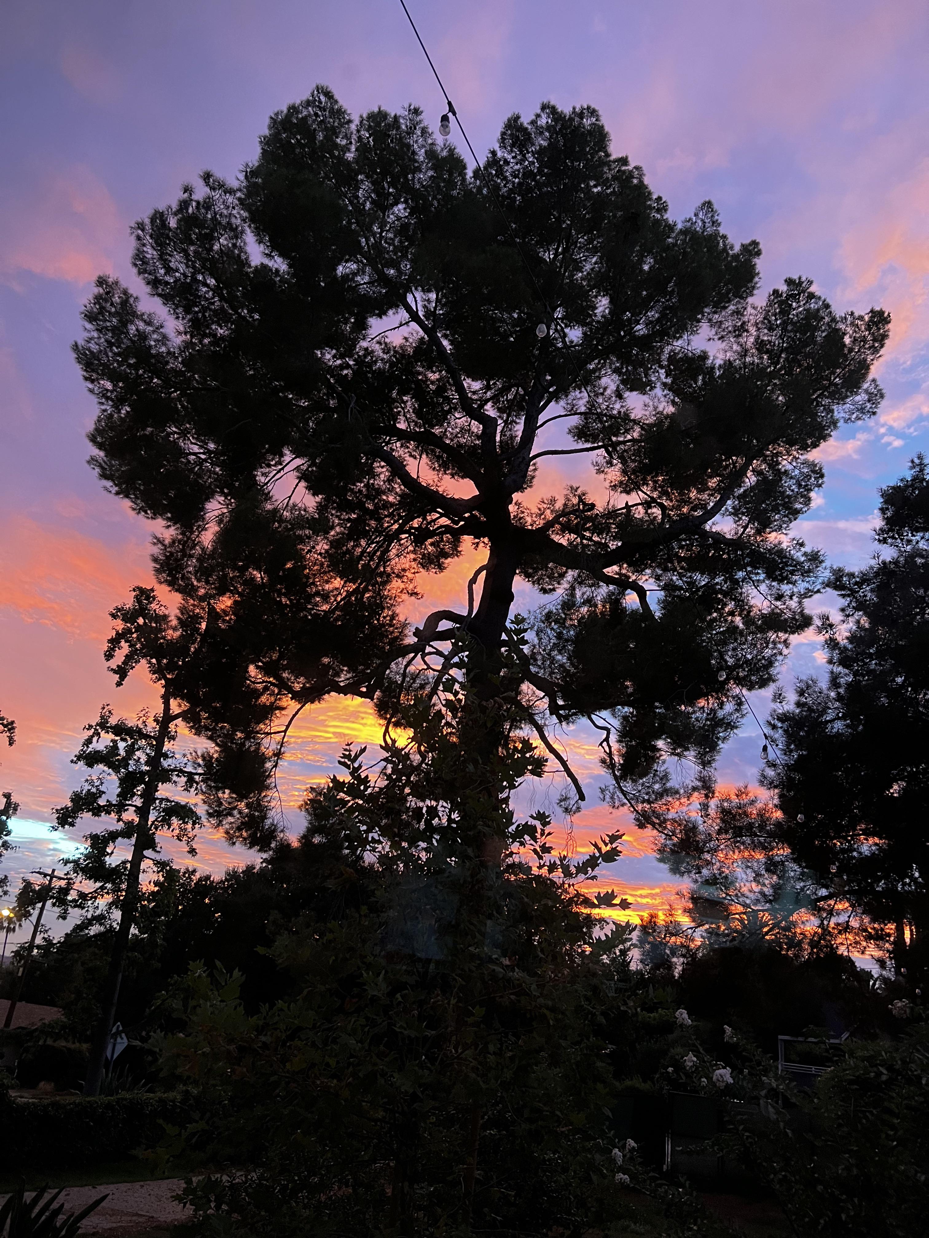 Best Altadena Posts Reddit