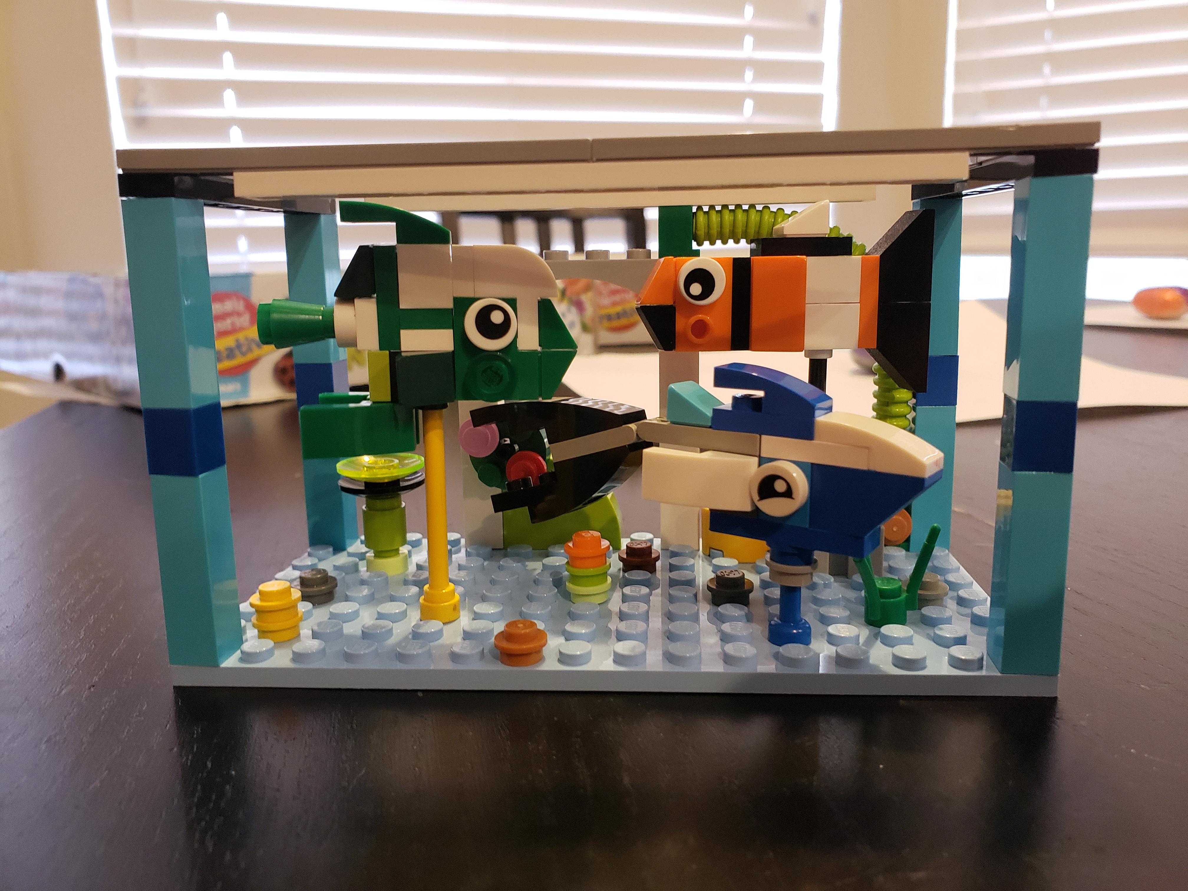 Didn't want to wait for the fish tank creator set. Built a mini tank