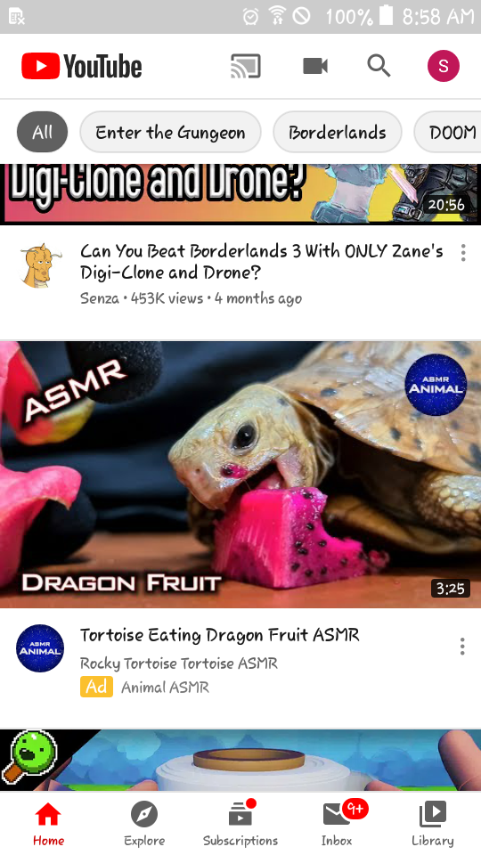 Turtle eating dragon fruit asmr WeirdAds