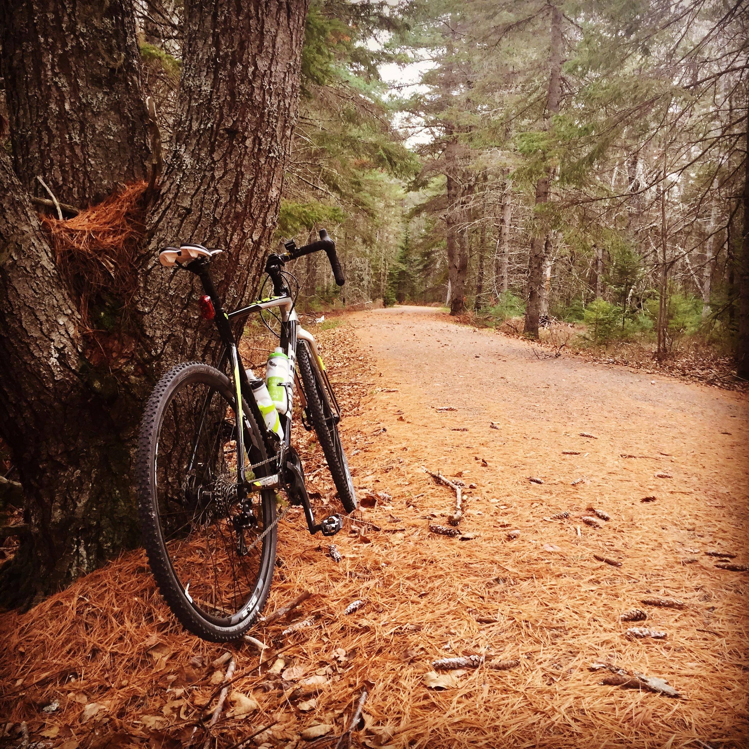 Fall rides are the best. Kouchibouguac National Park, New Brunswick