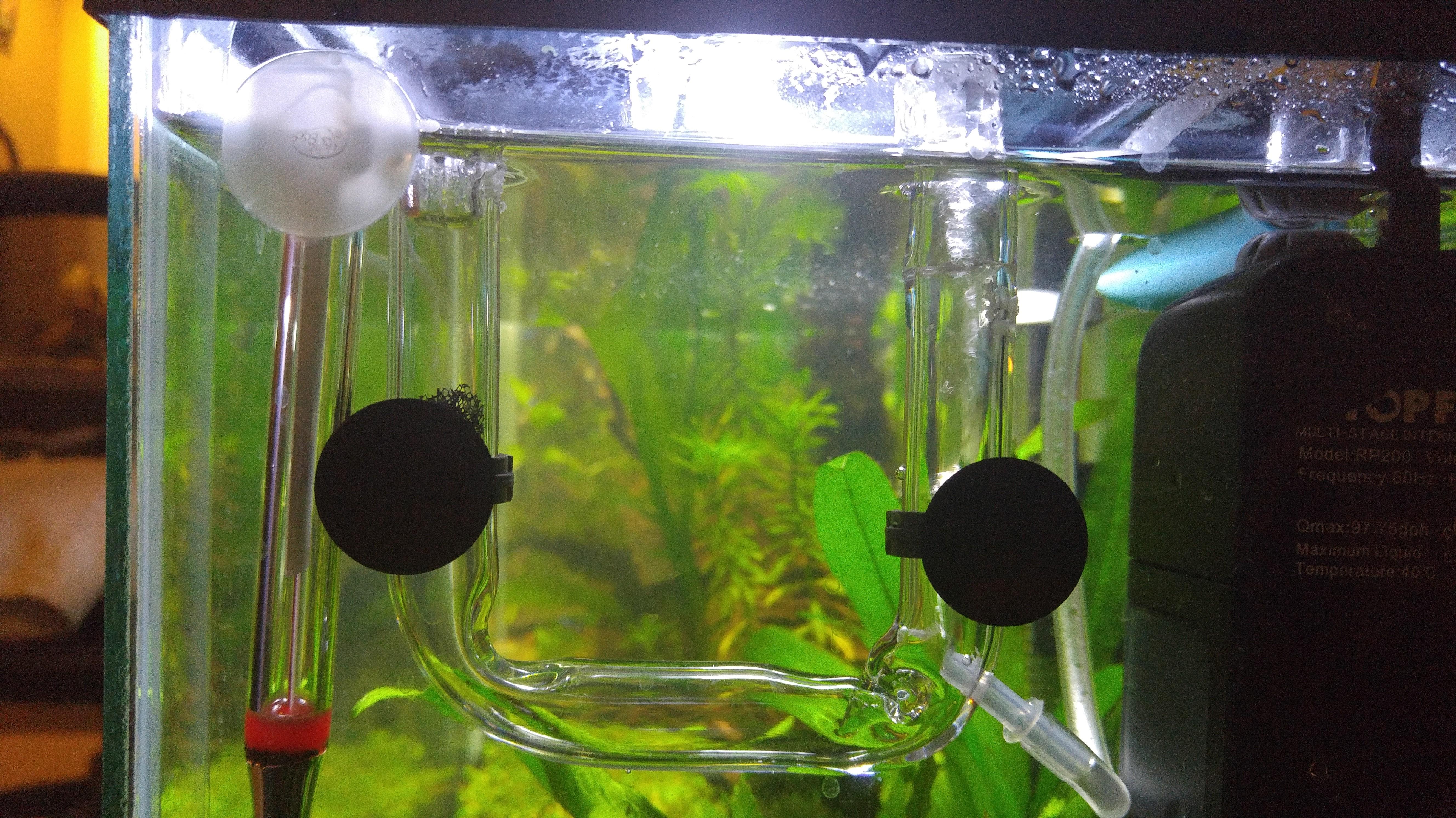 DIY Air Powered Surface Skimmer r/PlantedTank