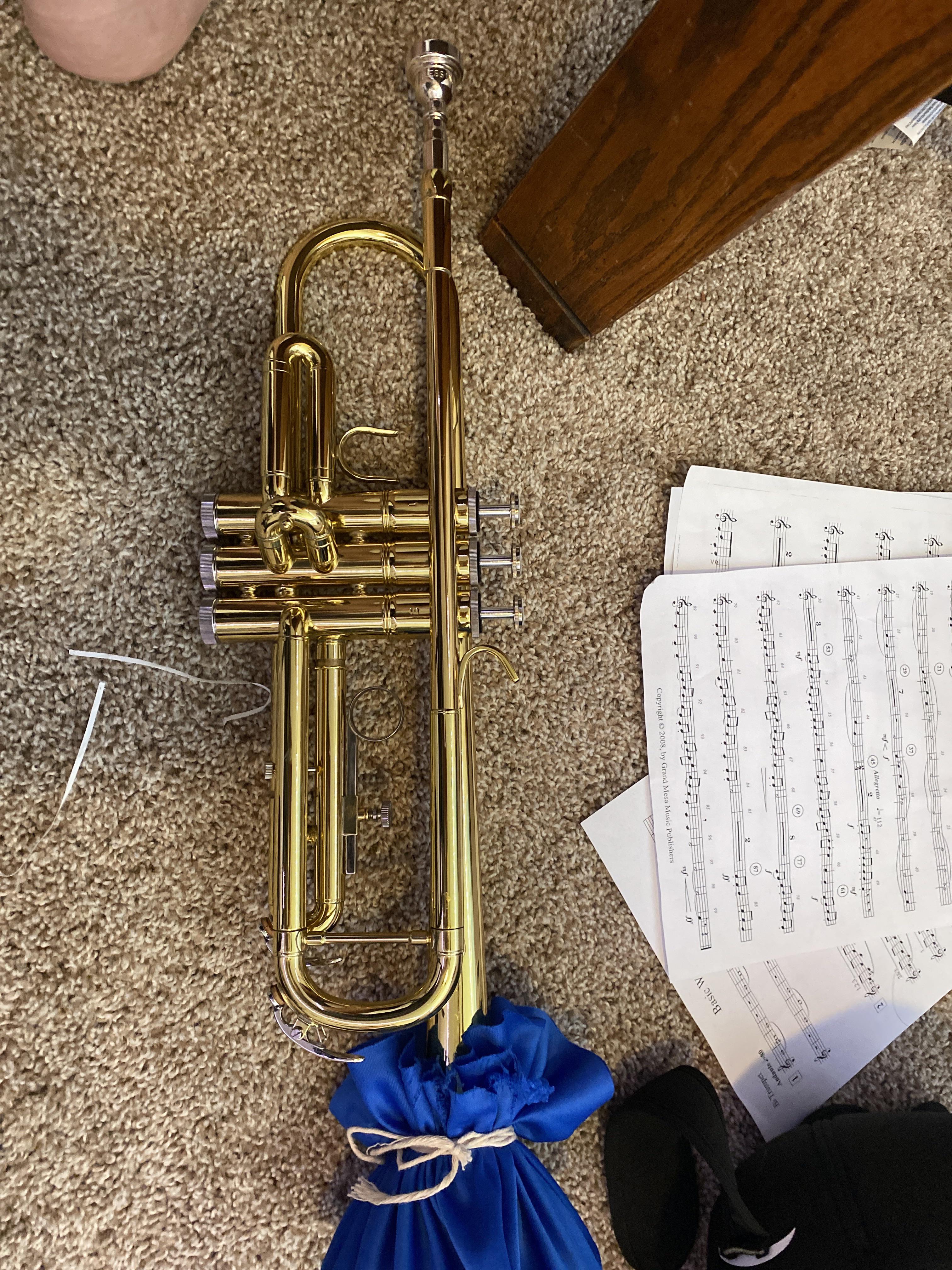 Our trumpet “bell covers” for this year. r/trumpet