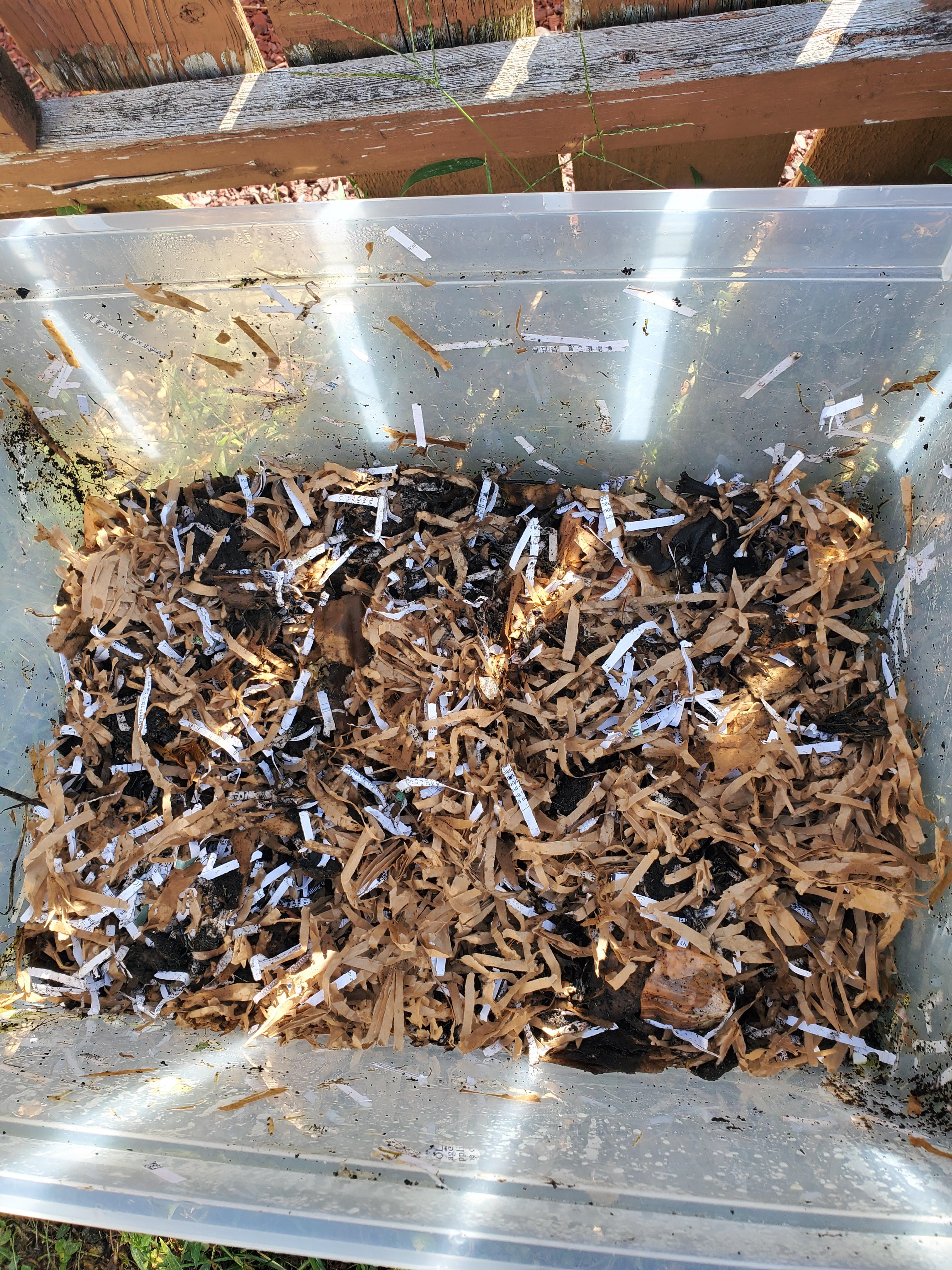 How's my first bin? I started a couple weeks ago and its primarily