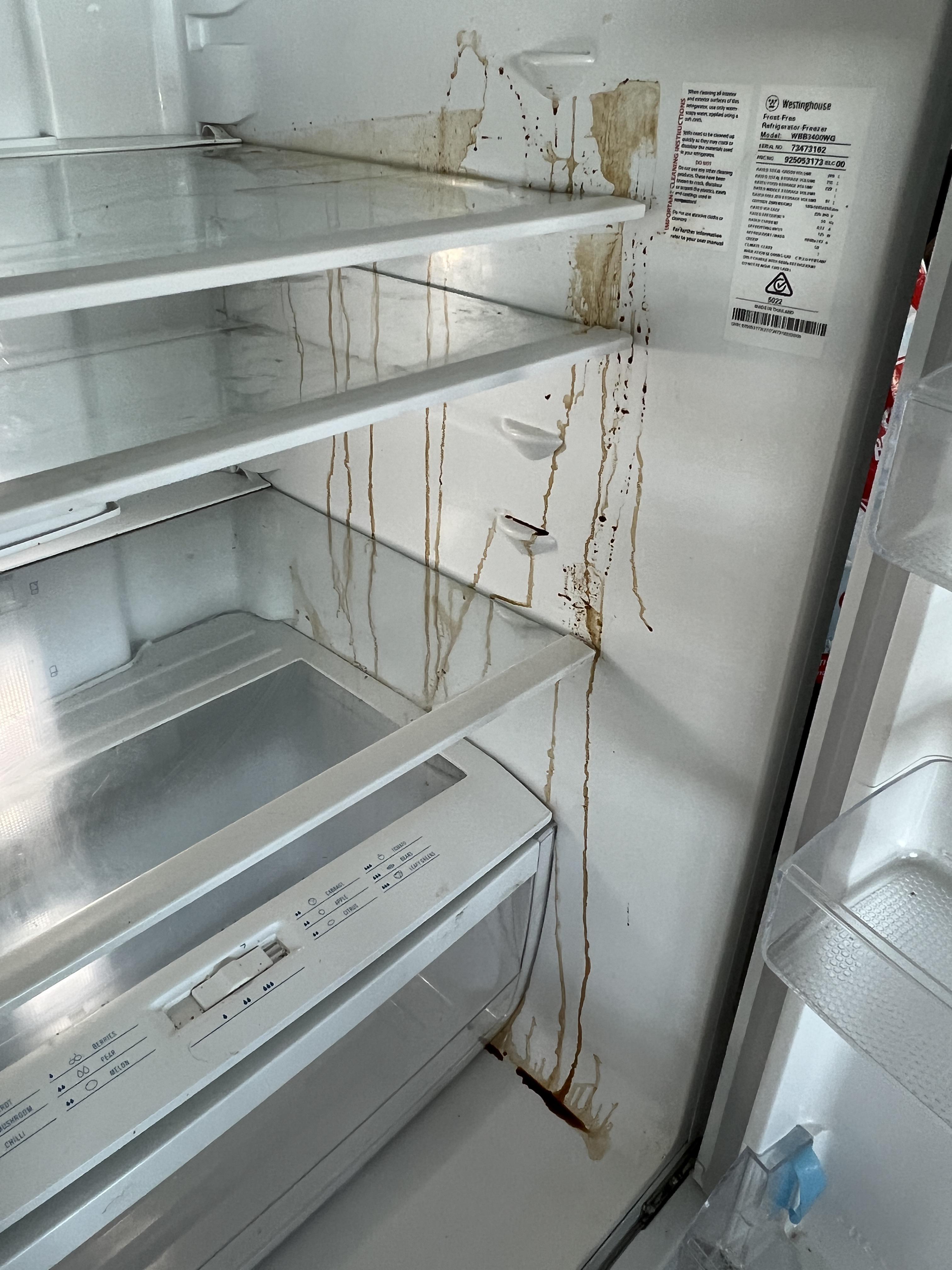 Is my fridge a lost cause? Brown oil substance dripped down inside the
