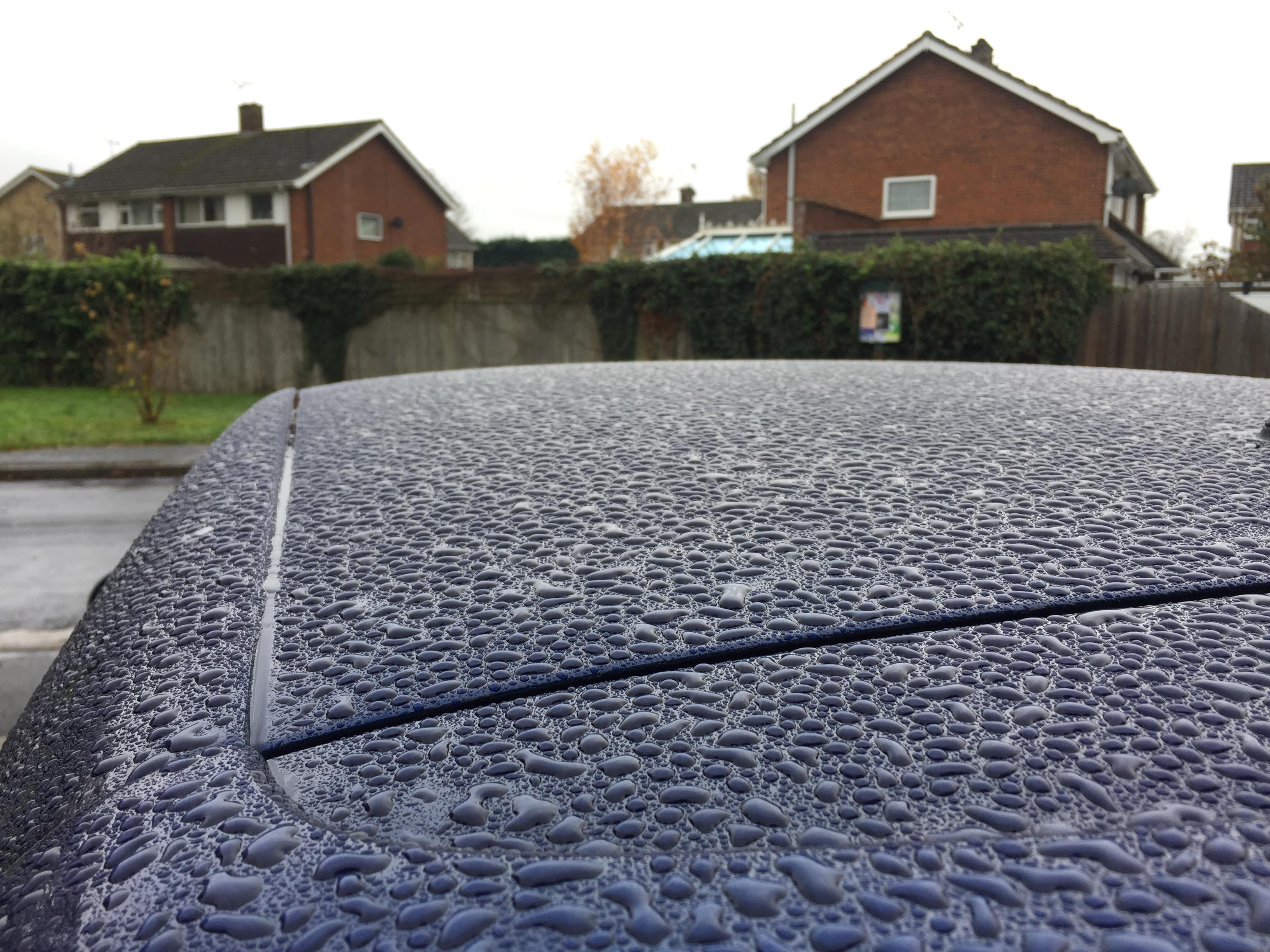 This rain on top of my freshly cleaned car. r/mildlyinteresting