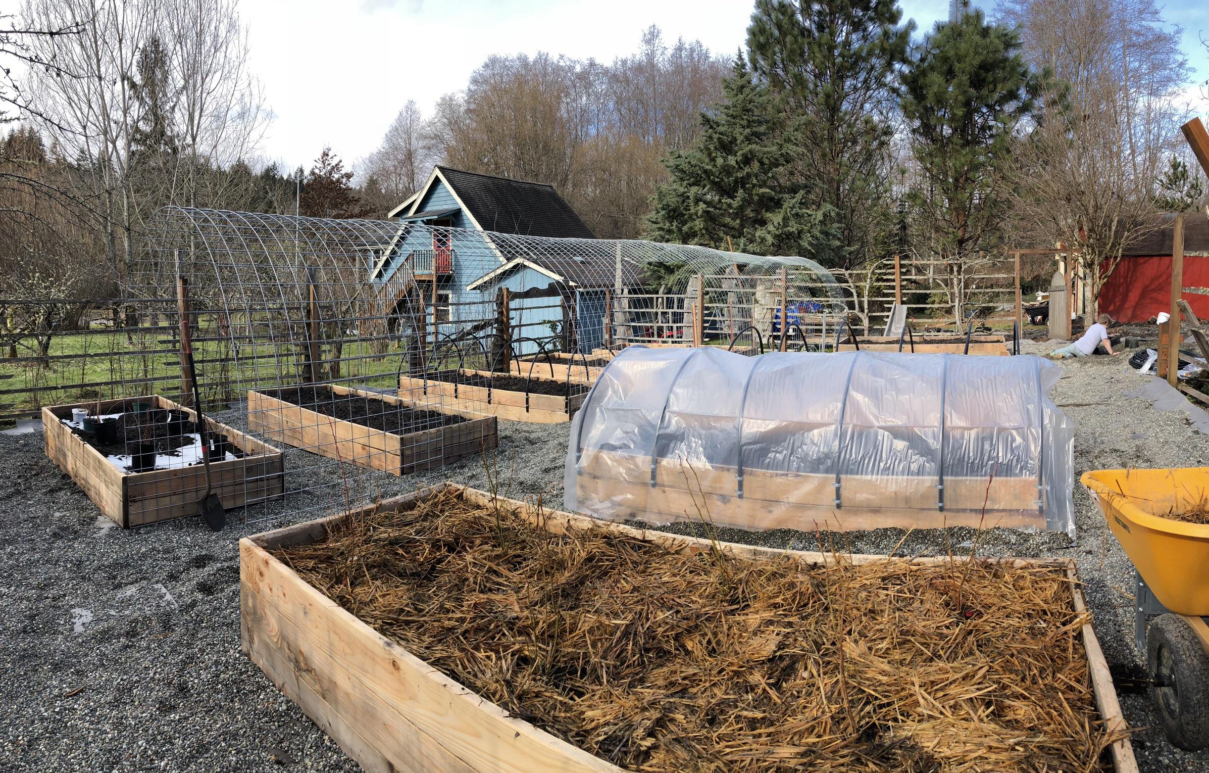 Planted my blueberries and raspberries today! (And I’m warming my soil