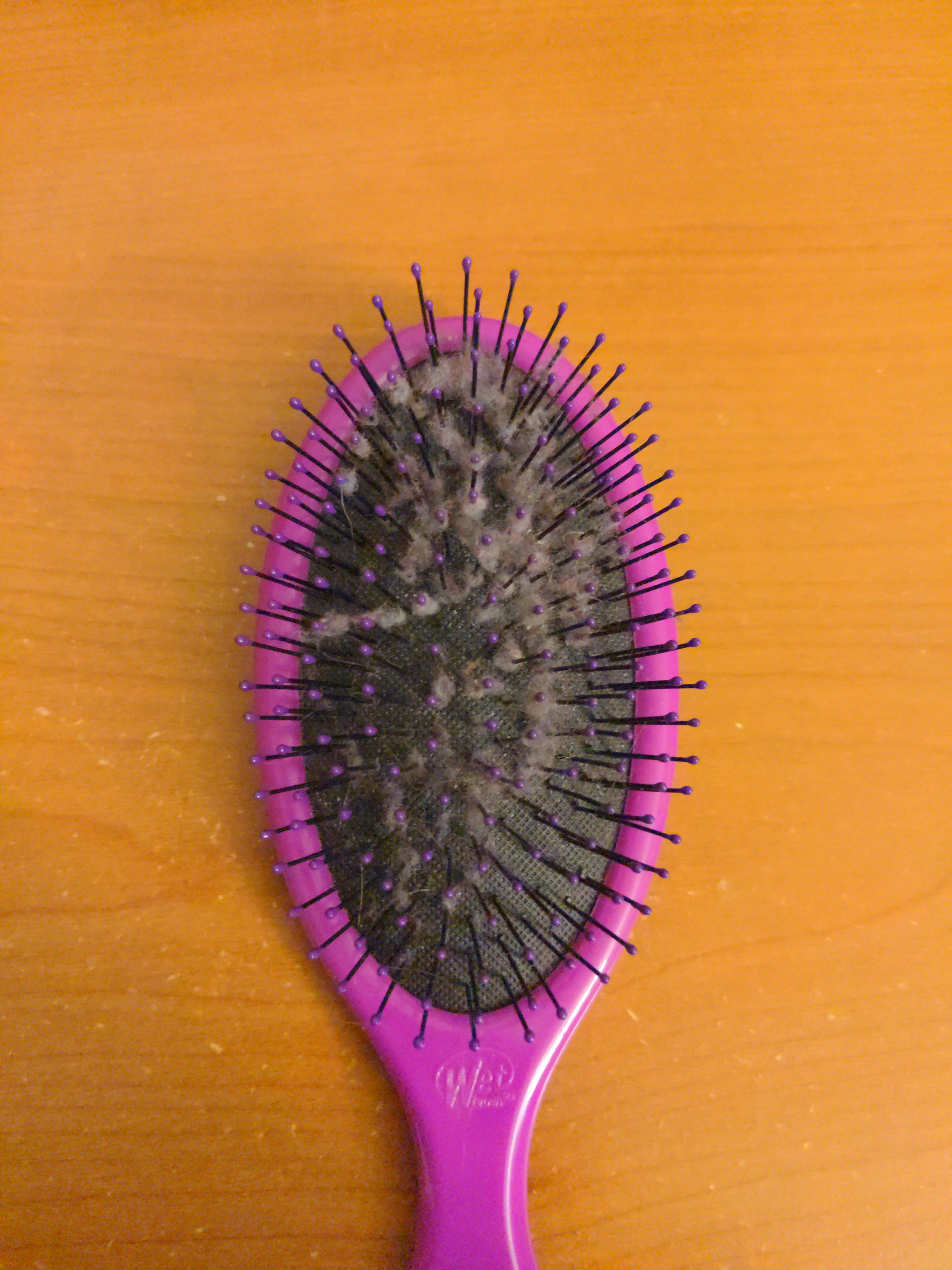 How do I get dust out of my Wet Brush?? r/Hair