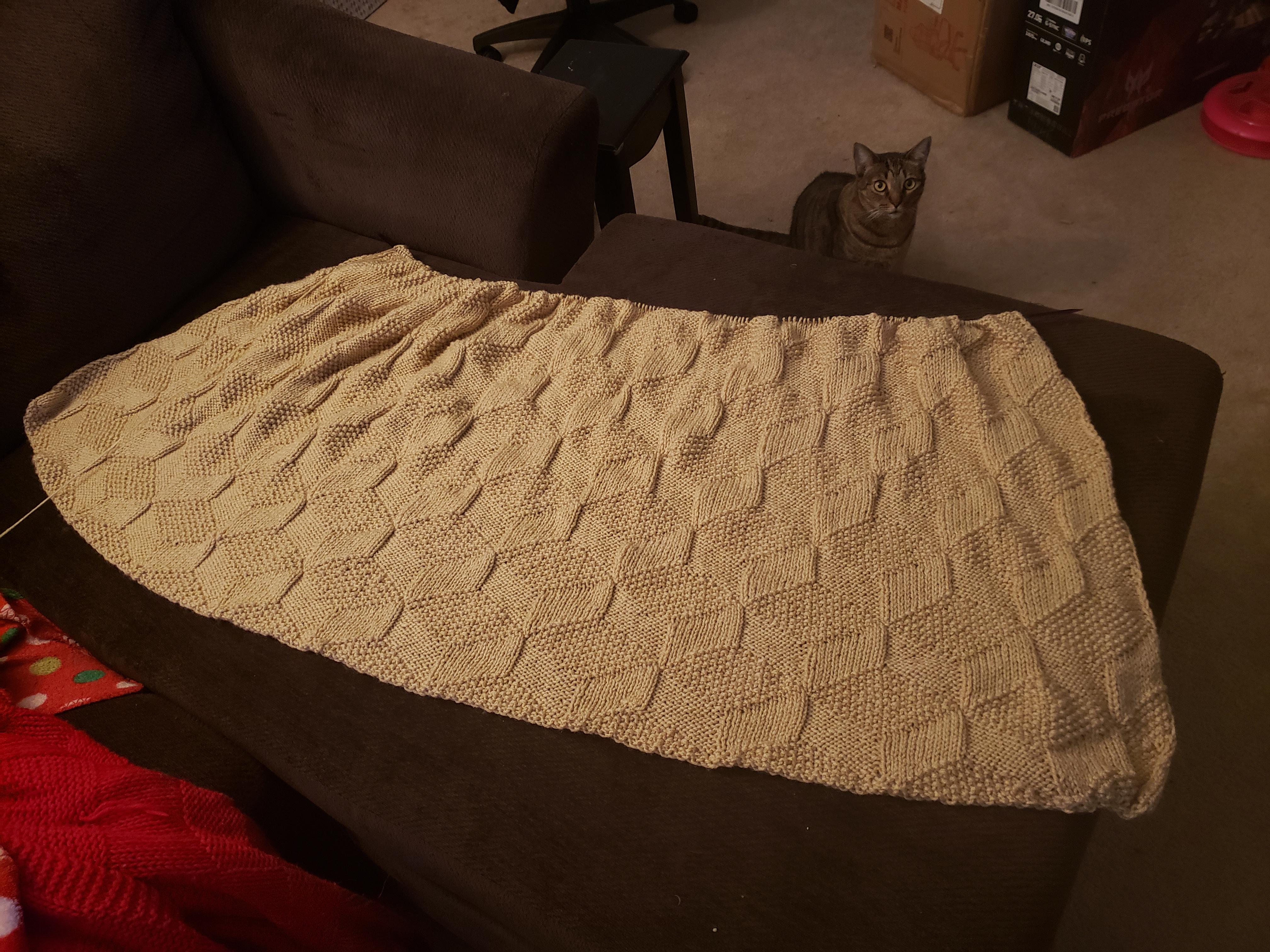 Another update. Just finished the first ball of yarn. My cat is being