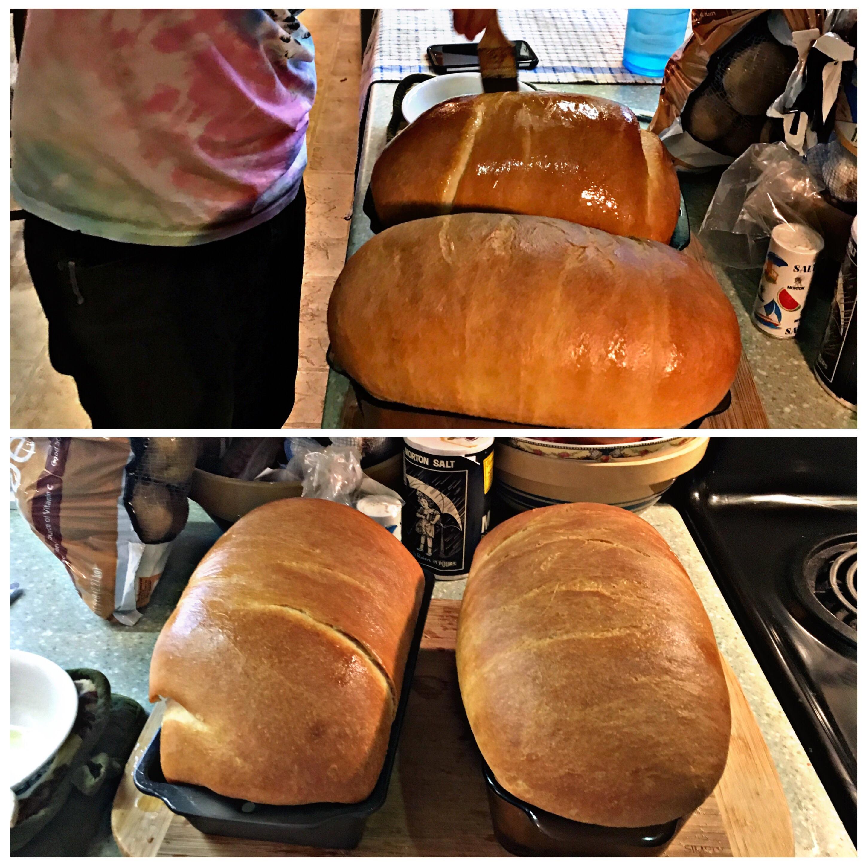 My first try. Just good ol' fashioned white bread. r/Breadit