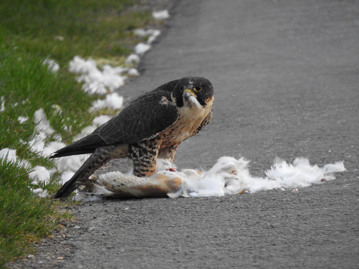 Posts by u/catlover906 ・ popular.pics ・ Viewer for Reddit