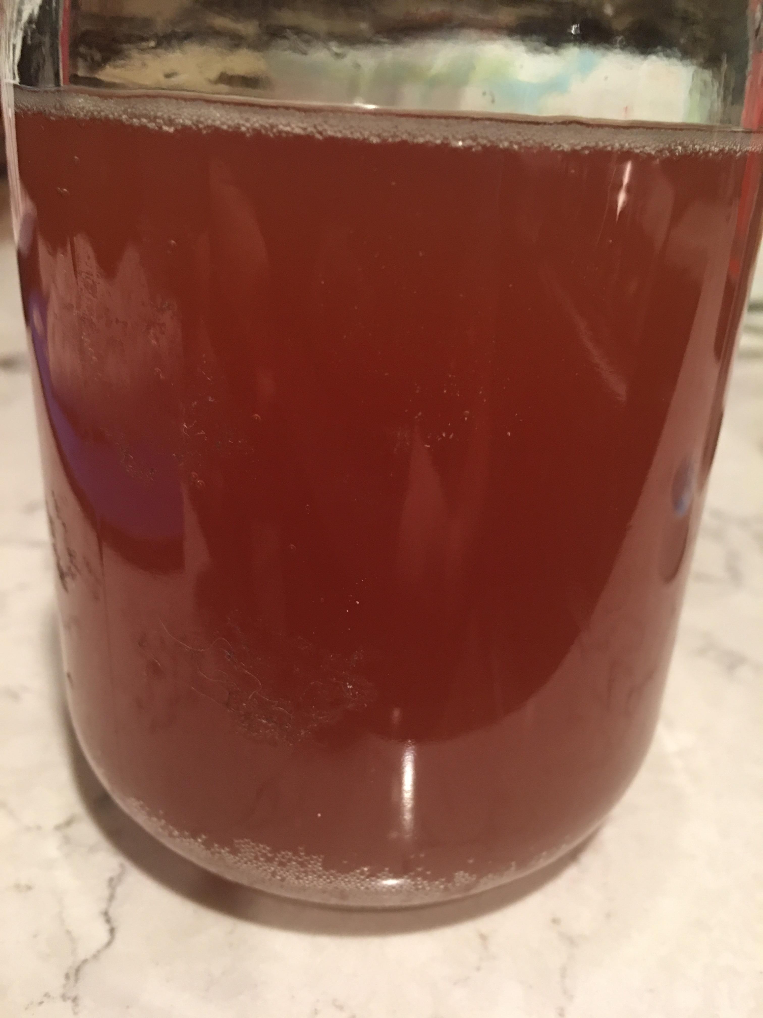 For my first I made cherry kombucha. It’s amazing! r/Kombucha