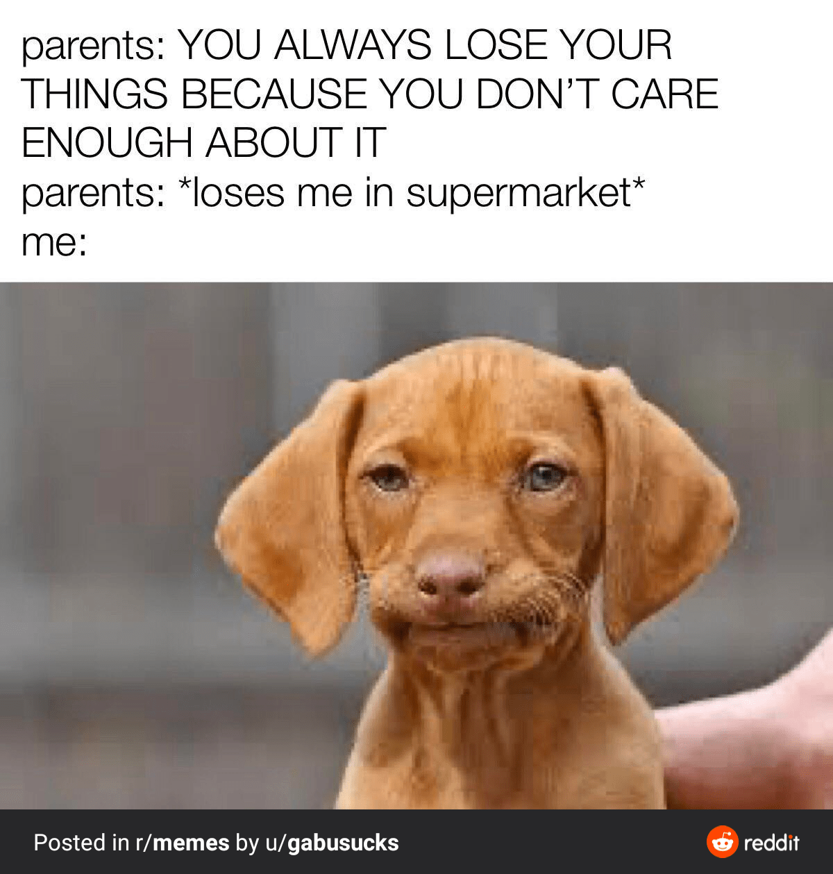 Can you do me a favor and upvote 😁 FreeKarma4U