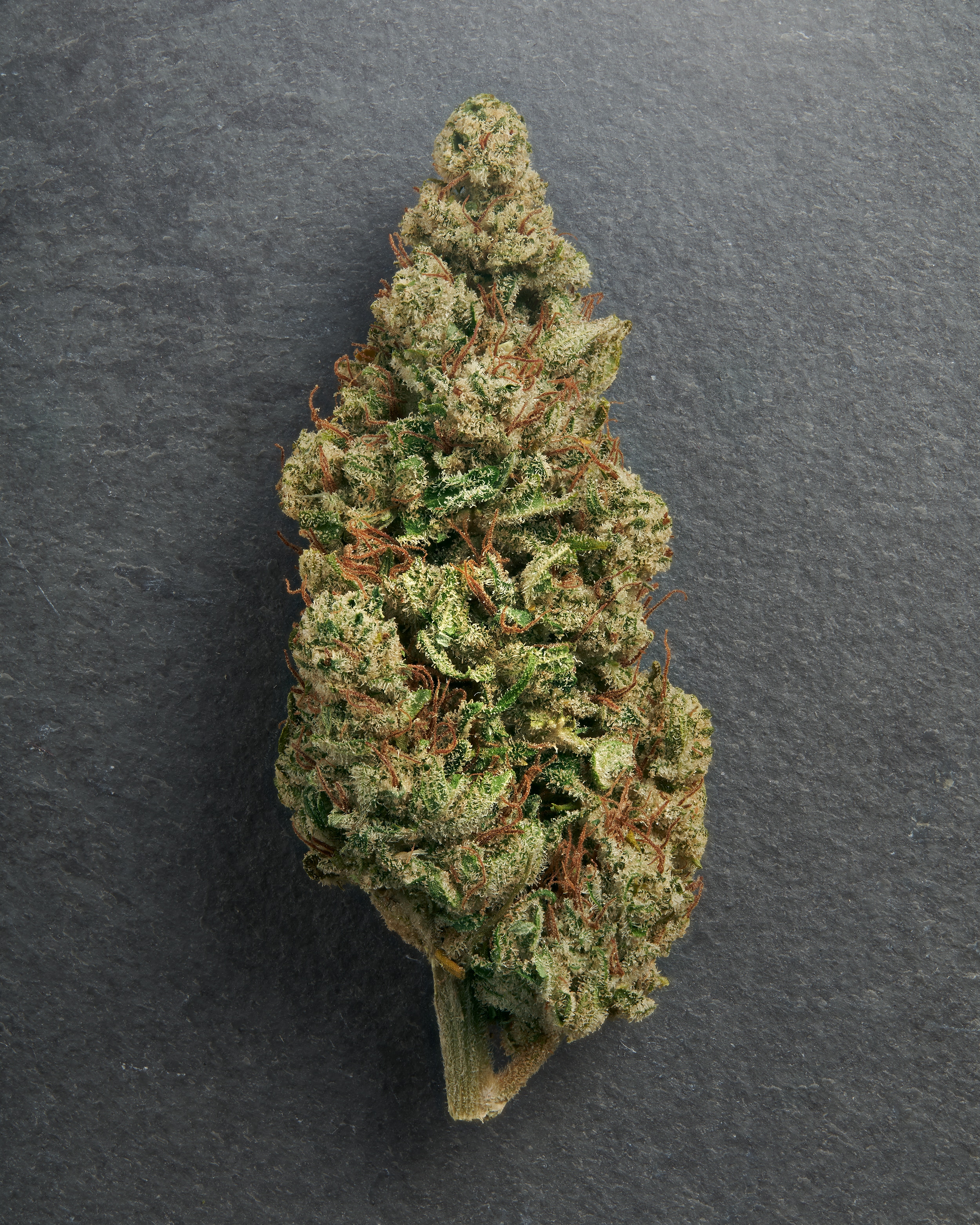 Indoor Unpqua, by HiTop Hemp r/hempflowers