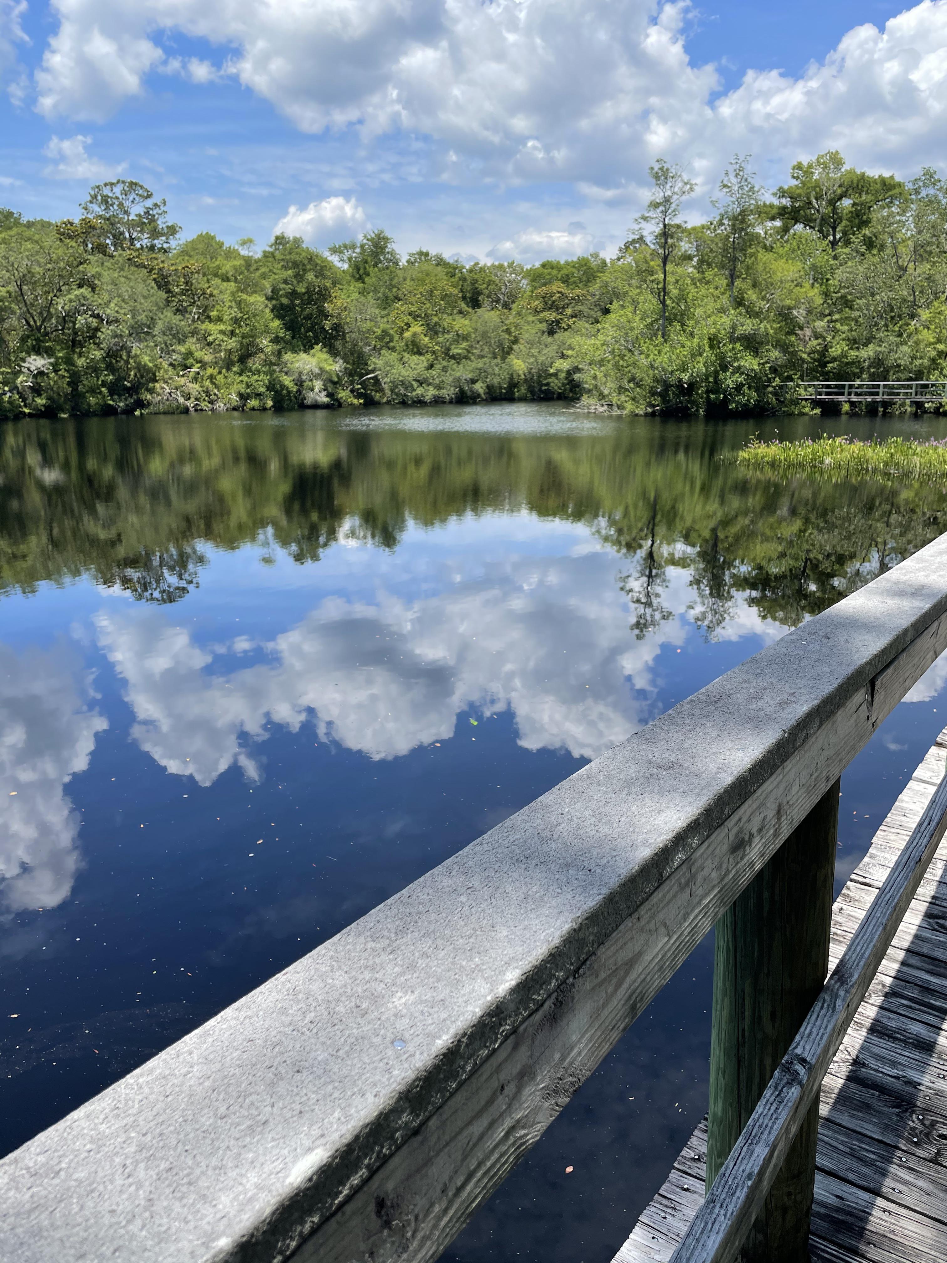 Taken awhile back when I was at the park in Sopchoppy, Florida. r/florida