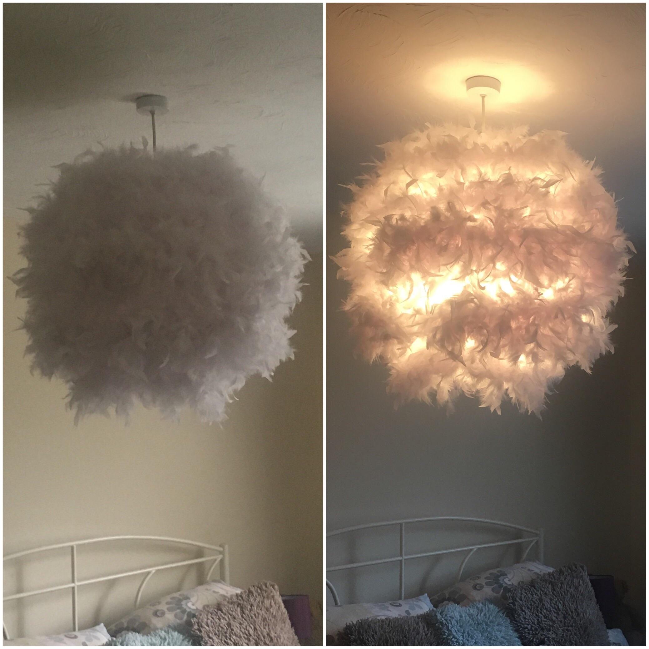 Made a large feather light shade with 3 things. A feather boa (required